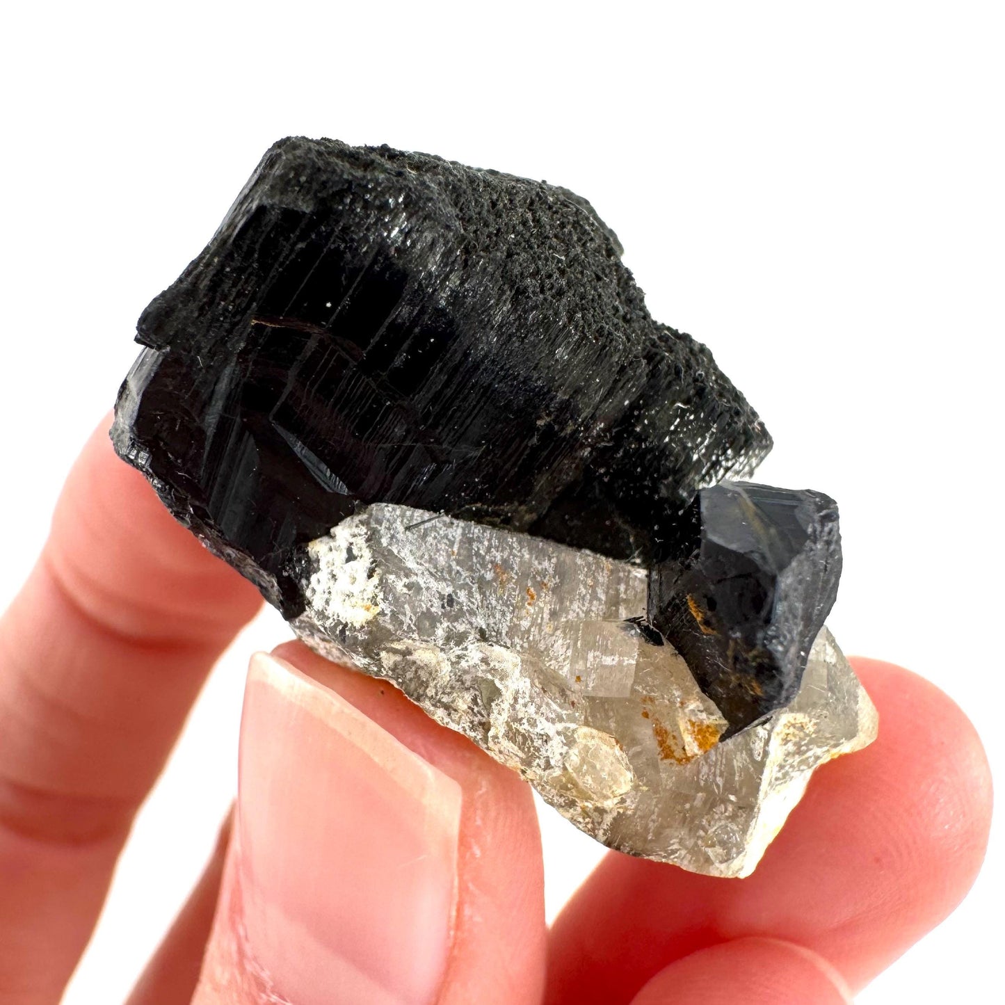 Smoky Quartz on Black Tourmaline | schorl crystal cluster, mineral specimen from Namibia