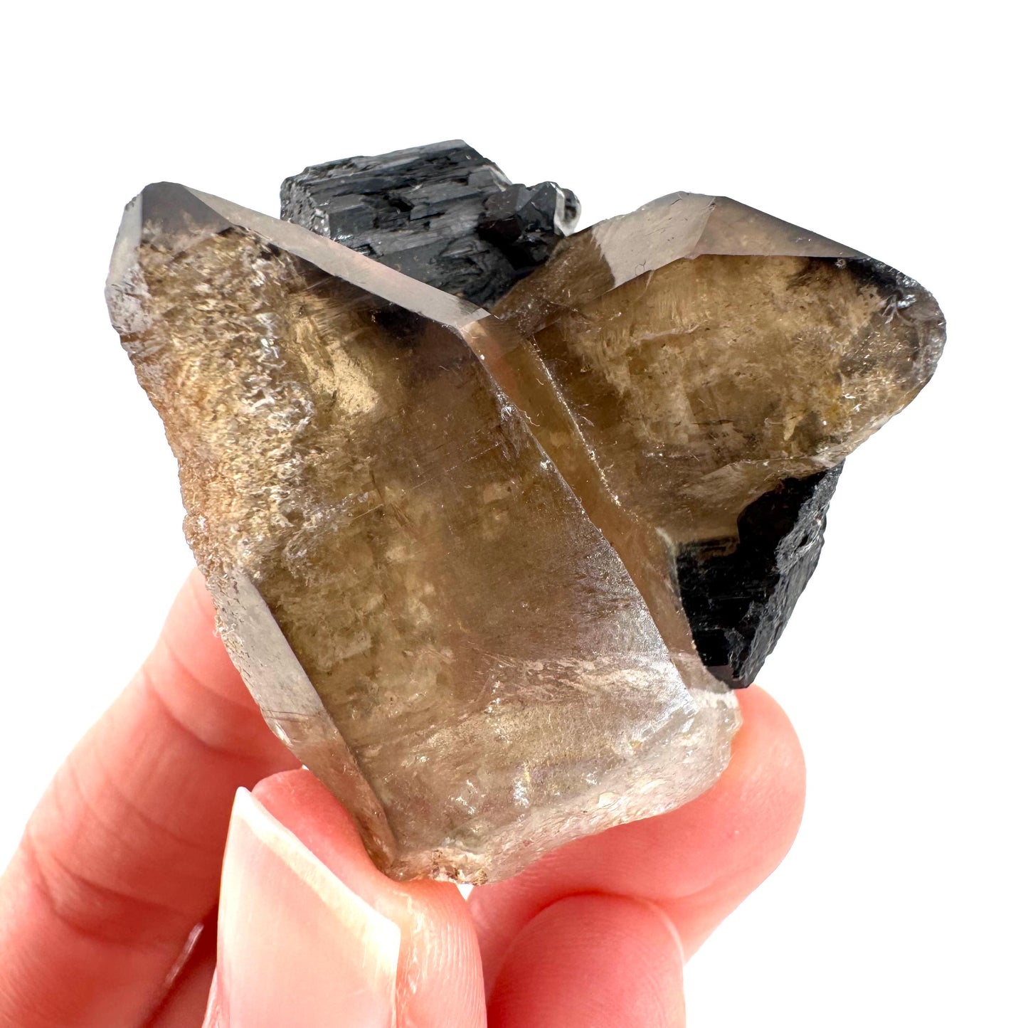 Black Tourmaline on Smoky Quartz | schorl crystal cluster, mineral specimen from Namibia