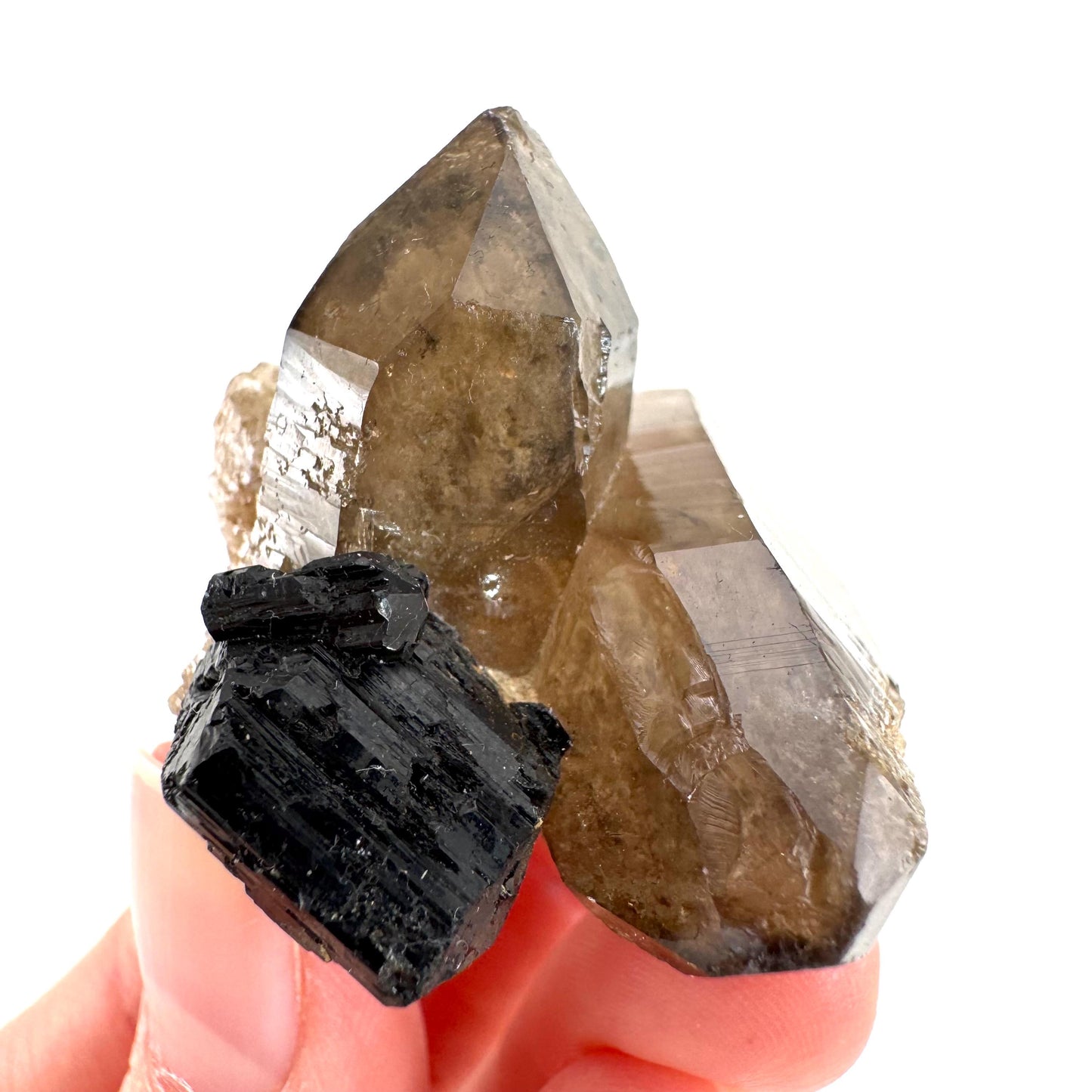 Black Tourmaline on Smoky Quartz | schorl crystal cluster, mineral specimen from Namibia