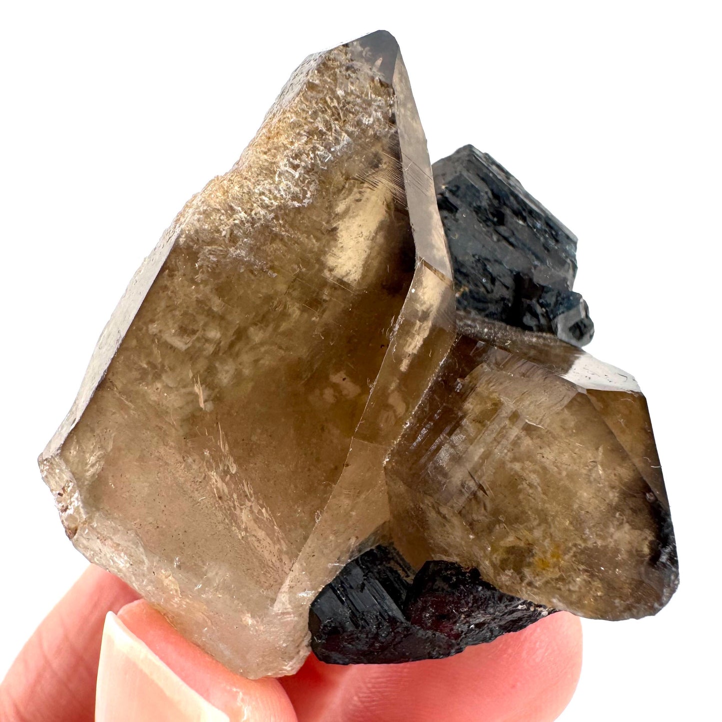 Black Tourmaline on Smoky Quartz | schorl crystal cluster, mineral specimen from Namibia