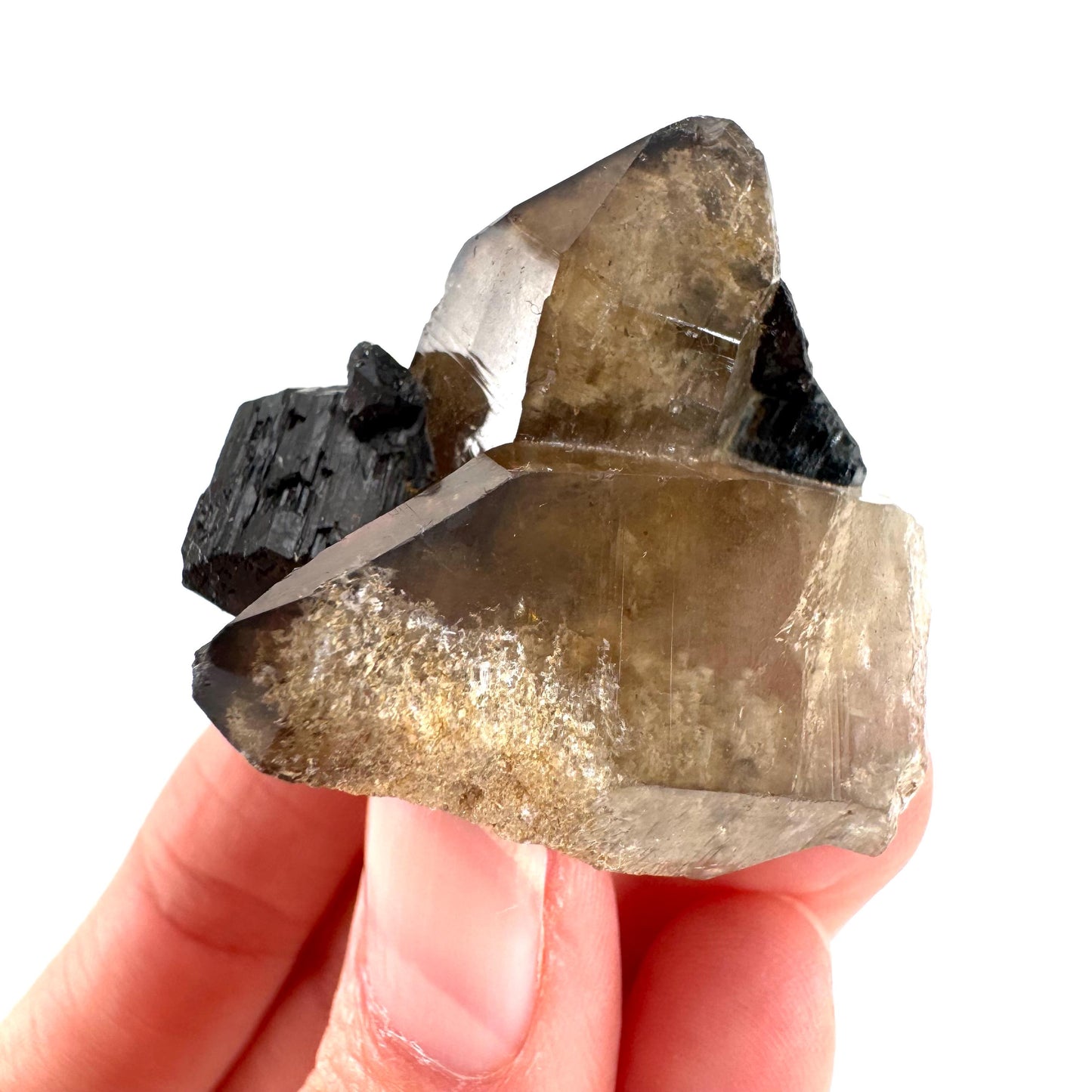Black Tourmaline on Smoky Quartz | schorl crystal cluster, mineral specimen from Namibia