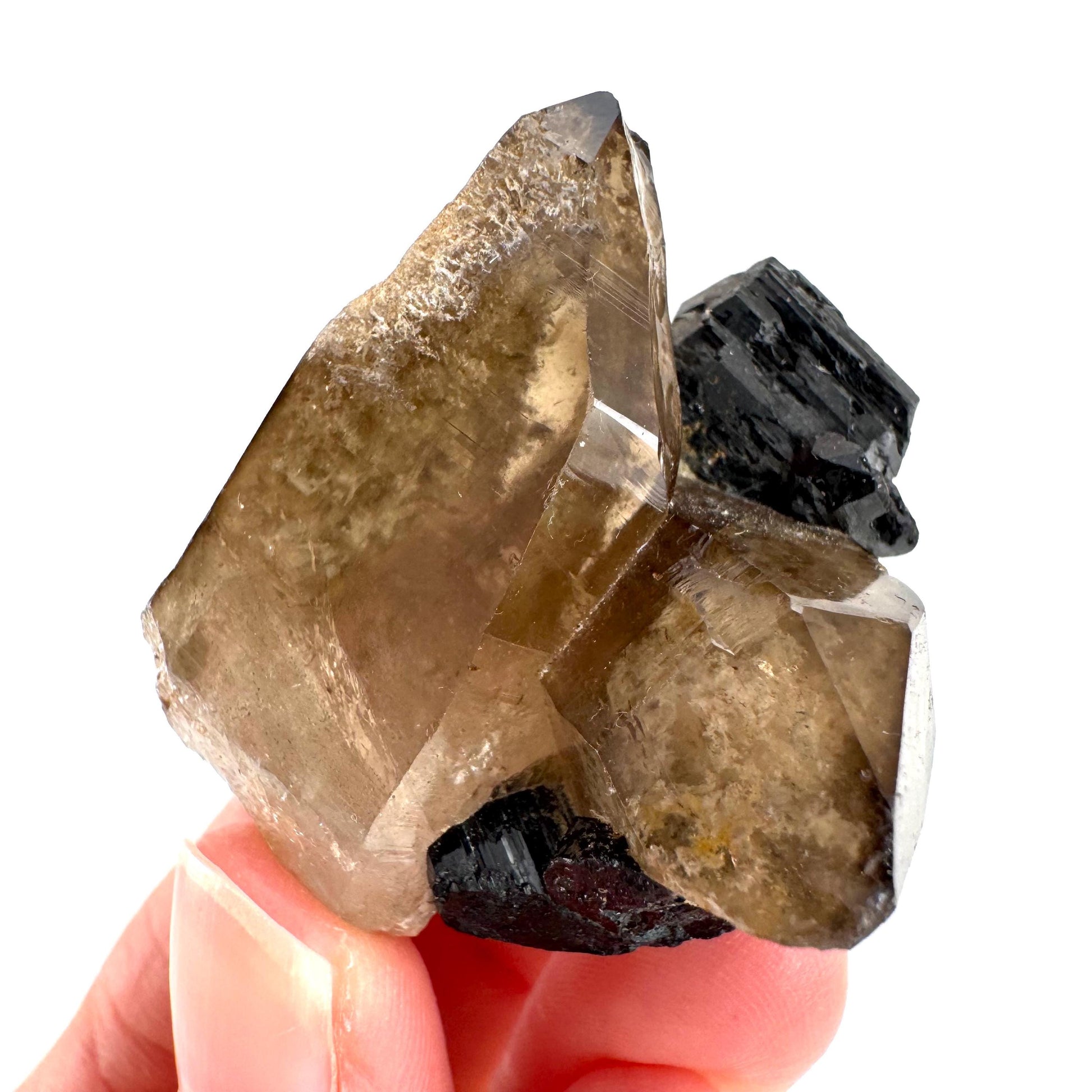 Black Tourmaline on Smoky Quartz | schorl crystal cluster, mineral specimen from Namibia