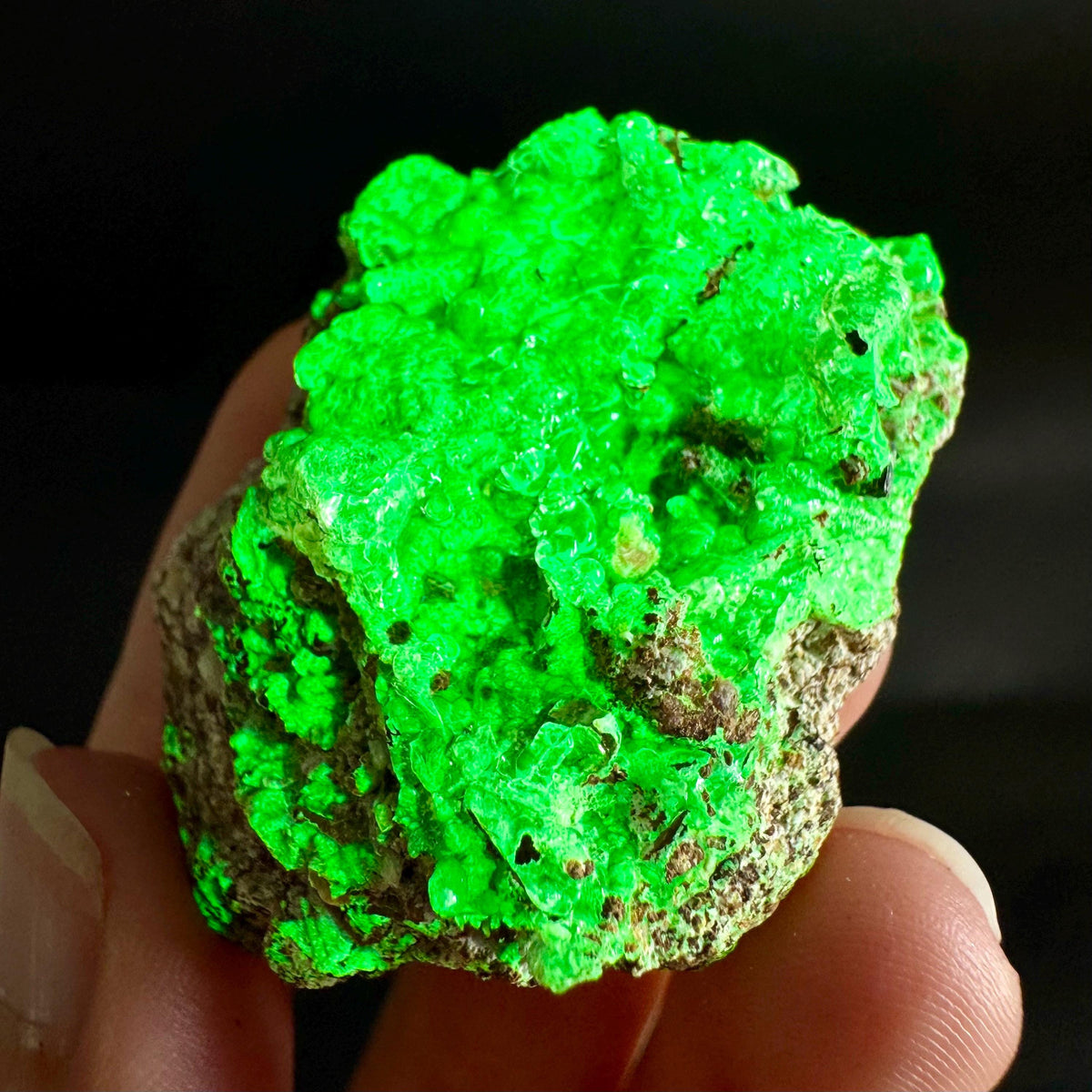 Hyalite Opal on Matrix | UV reactive crystal, green fluorescent mineral specimen from Namibia