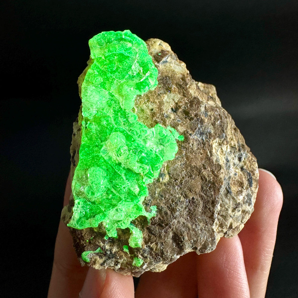 Hyalite Opal on Matrix | UV reactive crystal, green fluorescent mineral specimen from Namibia