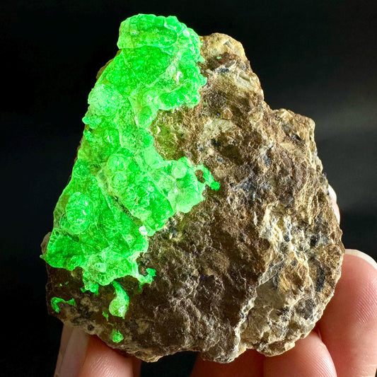 Hyalite Opal on Matrix | UV reactive crystal, green fluorescent mineral specimen from Namibia