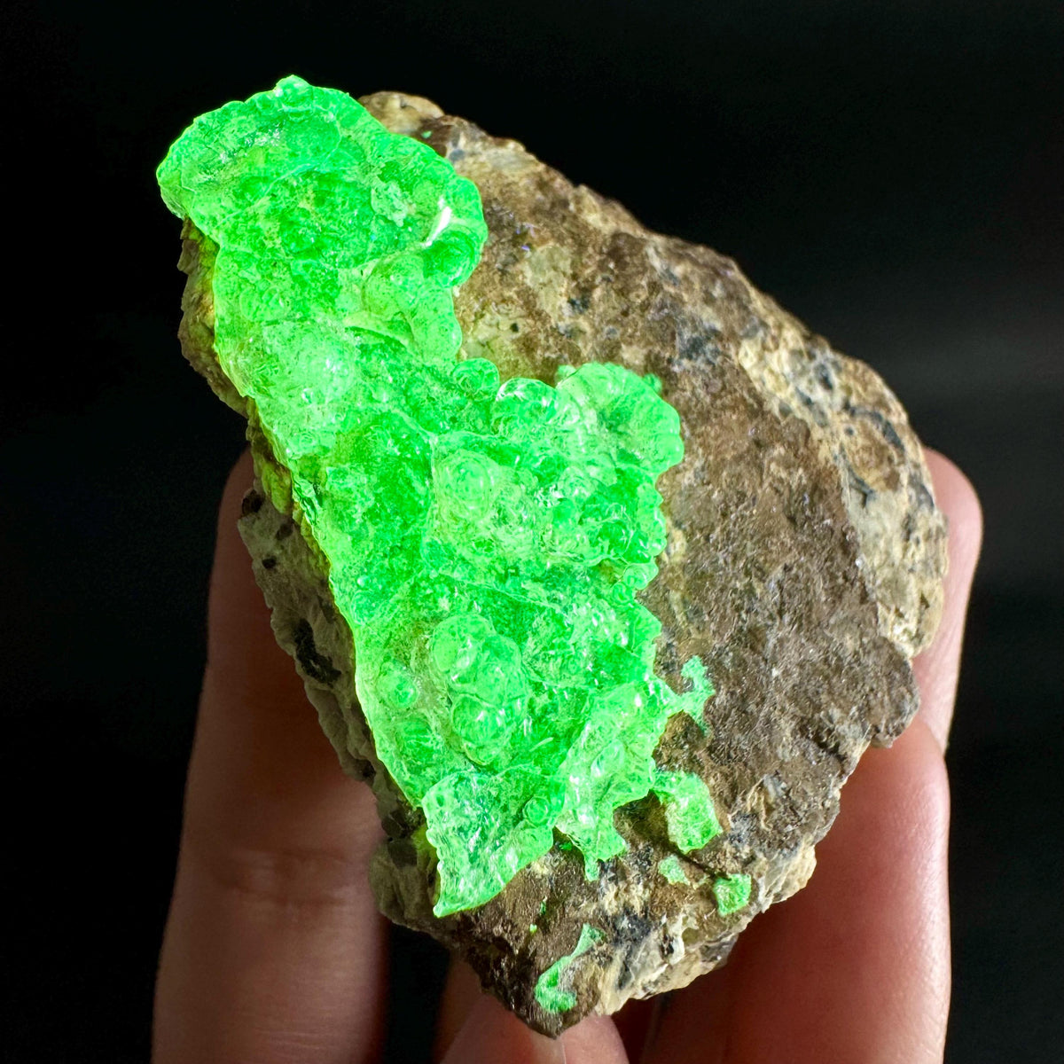 Hyalite Opal on Matrix | UV reactive crystal, green fluorescent mineral specimen from Namibia