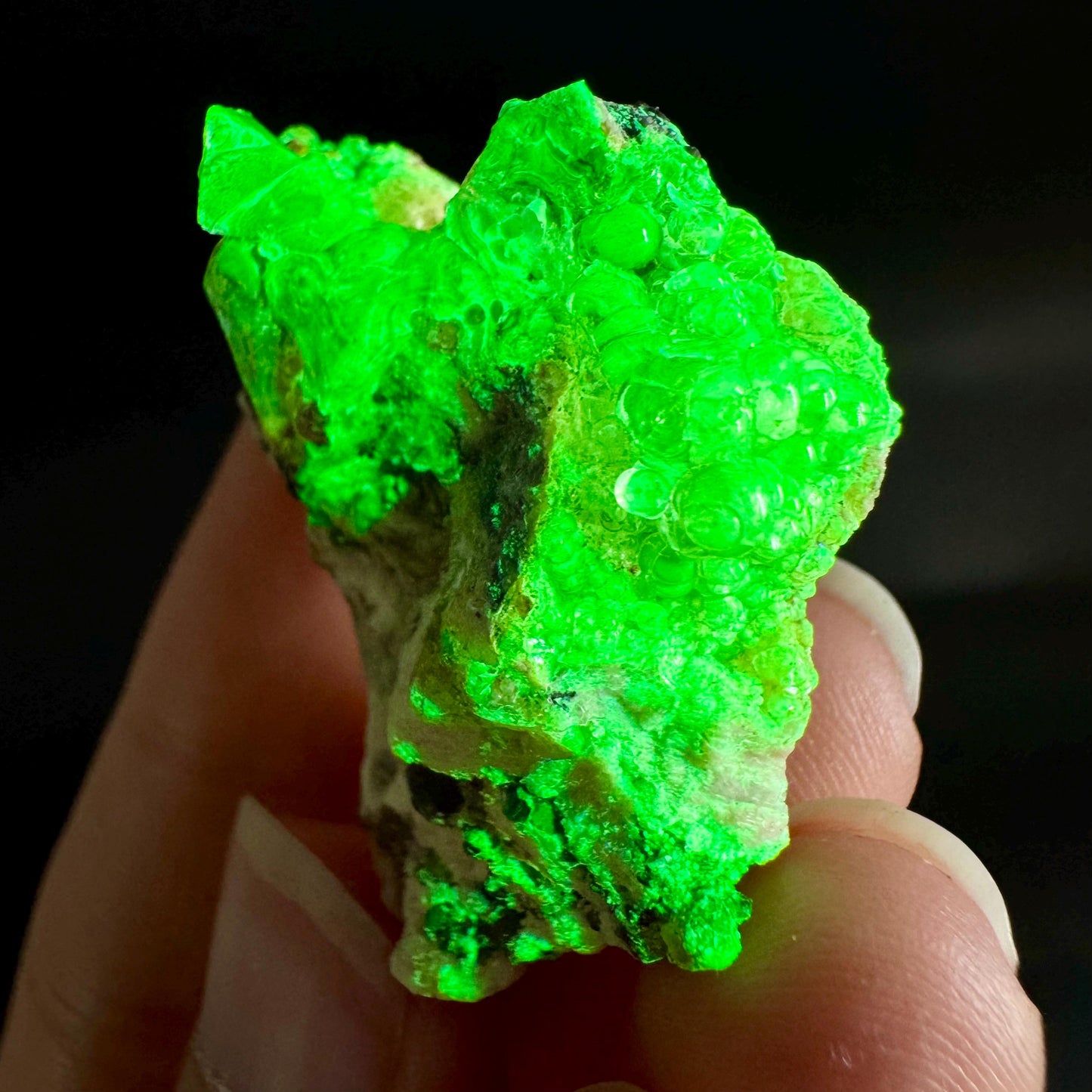 Hyalite Opal on Matrix | UV reactive crystal, green fluorescent mineral specimen from Namibia