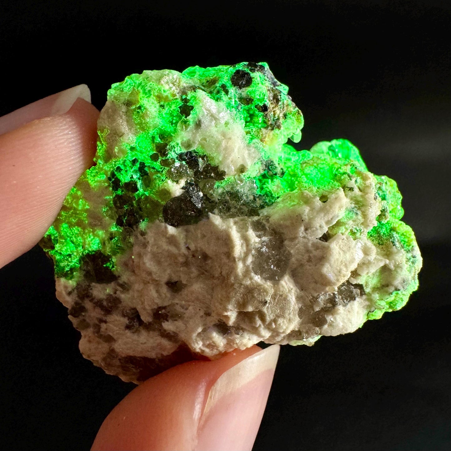 Hyalite Opal on Matrix | UV reactive crystal, green fluorescent mineral specimen from Namibia