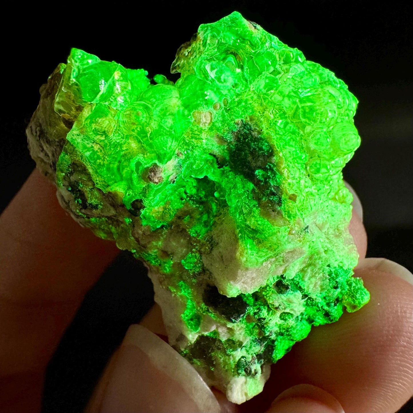Hyalite Opal on Matrix | UV reactive crystal, green fluorescent mineral specimen from Namibia