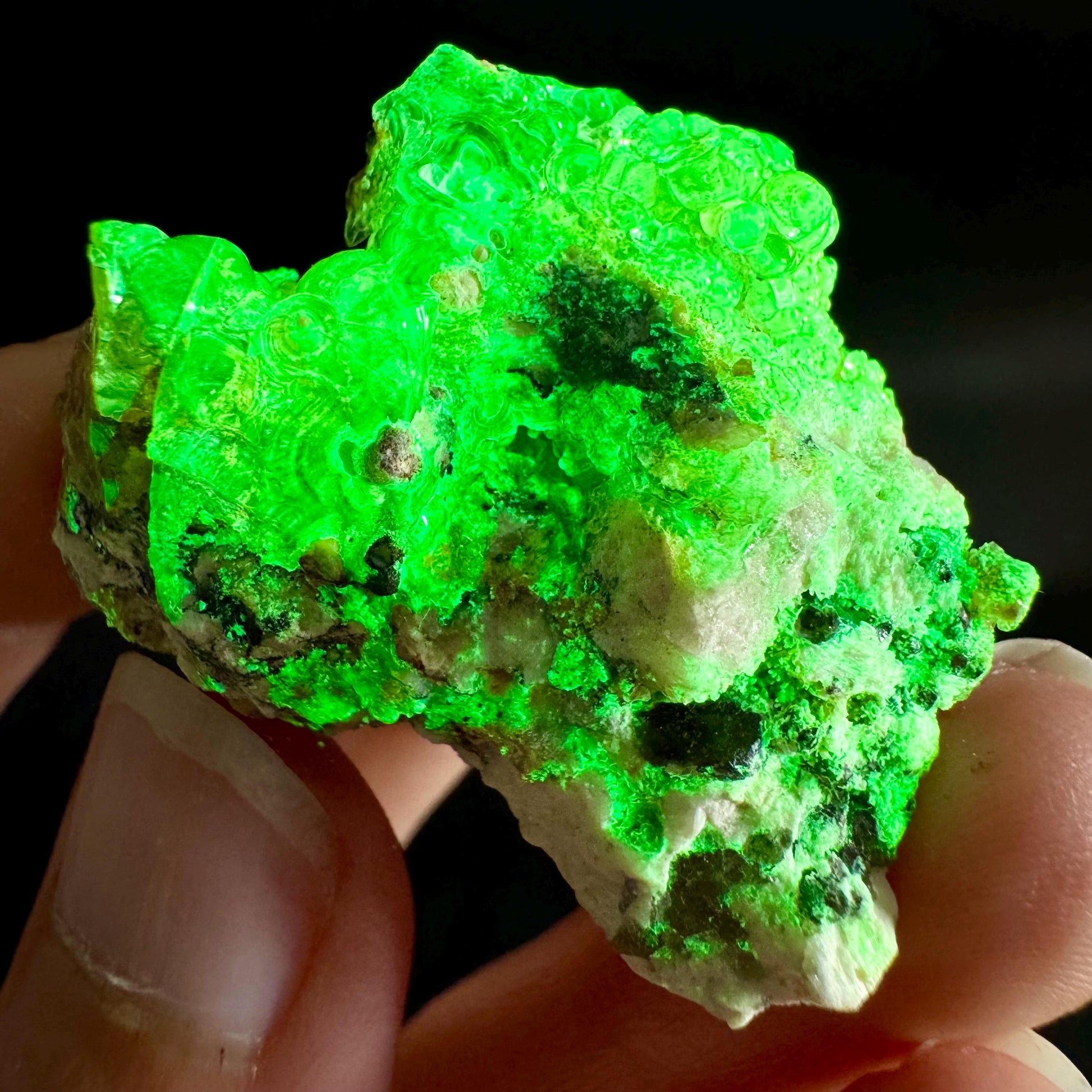Hyalite Opal on Matrix | UV reactive crystal, green fluorescent mineral specimen from Namibia