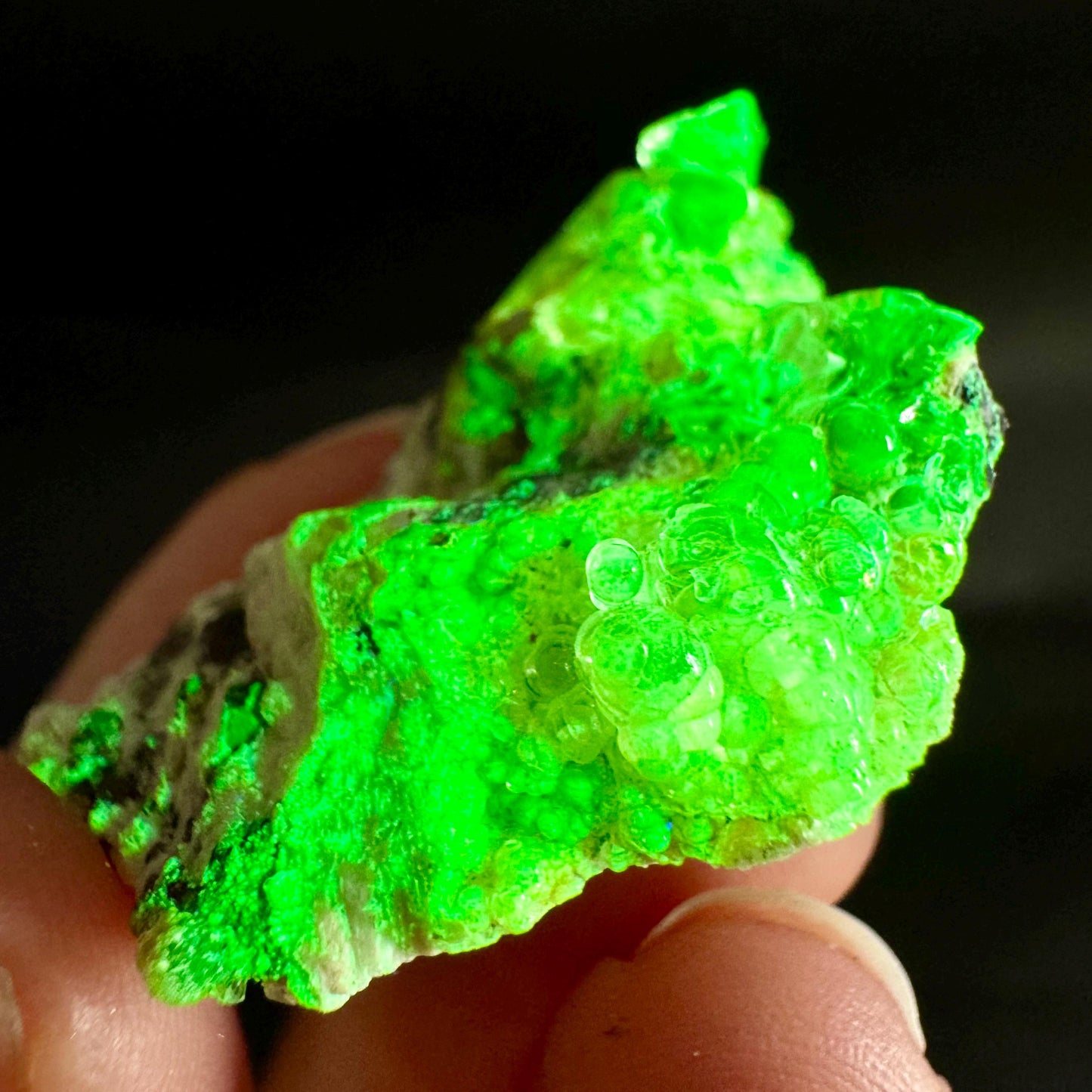 Hyalite Opal on Matrix | UV reactive crystal, green fluorescent mineral specimen from Namibia