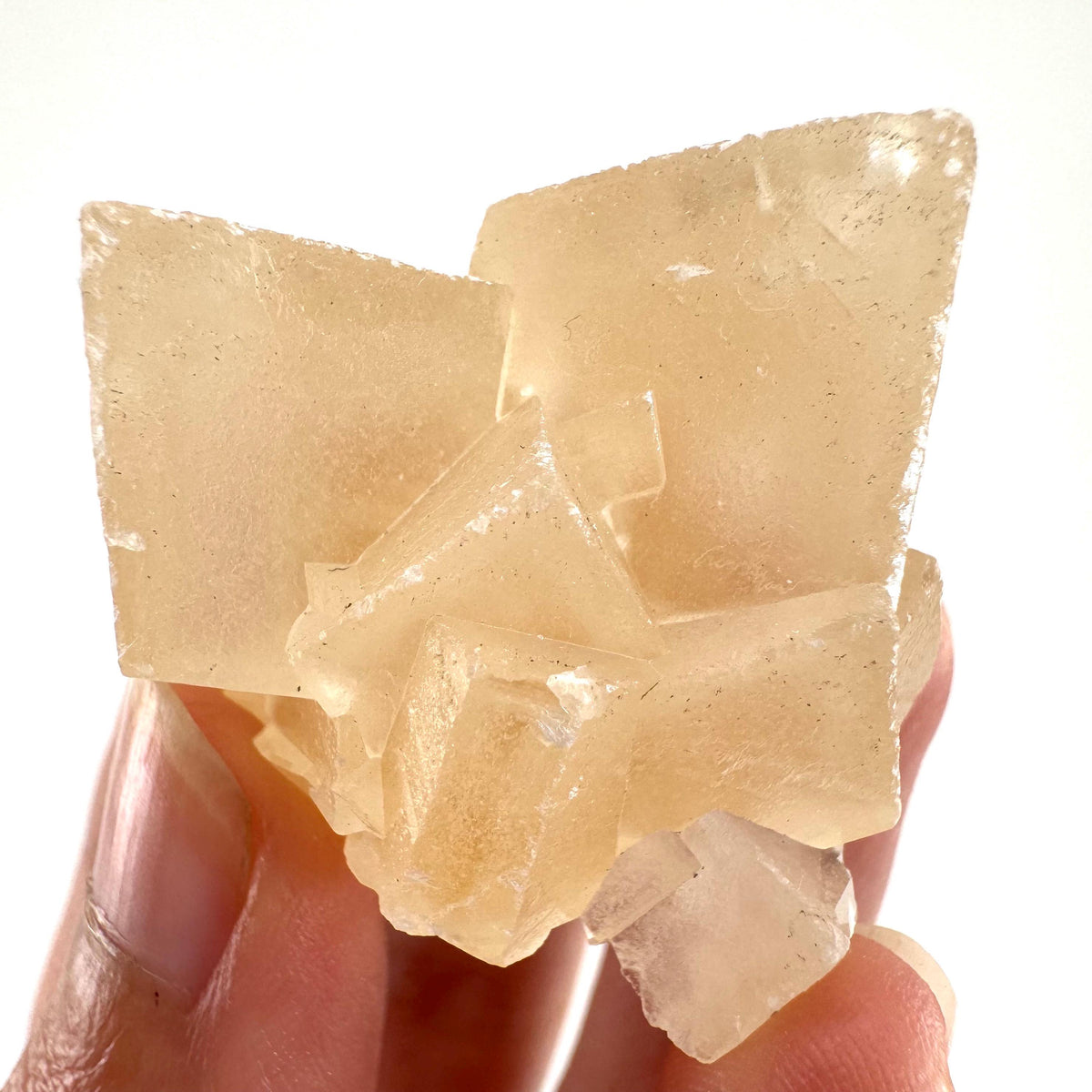 Fluorescent Calcite | UV-reactive crystal, natural mineral specimen from Indonesia