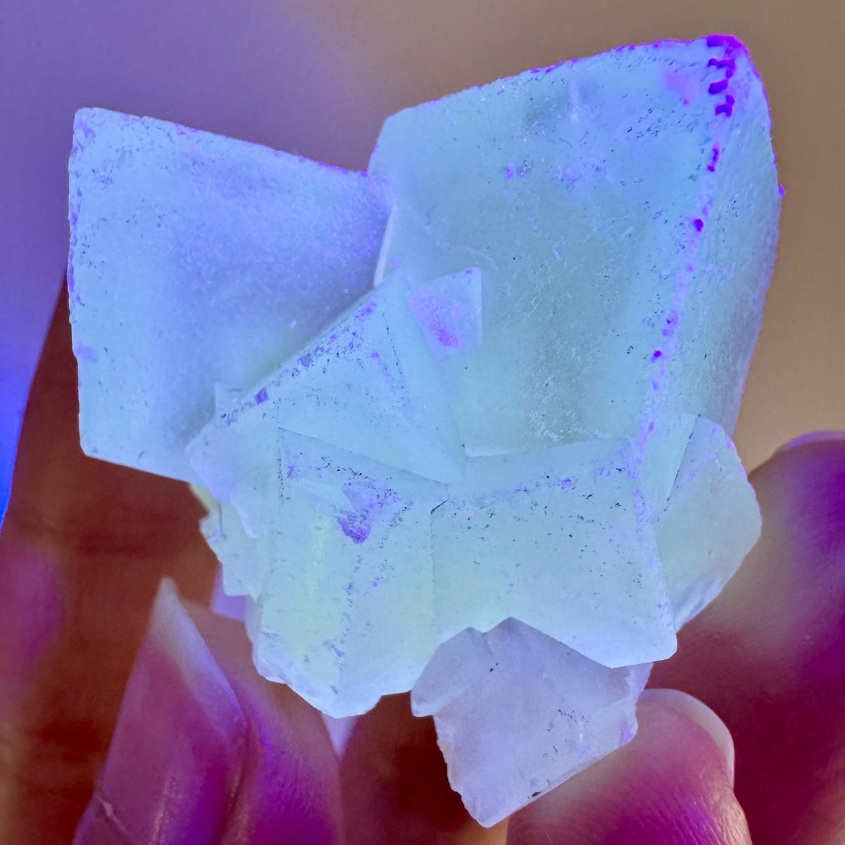 Fluorescent Calcite | UV-reactive crystal, natural mineral specimen from Indonesia