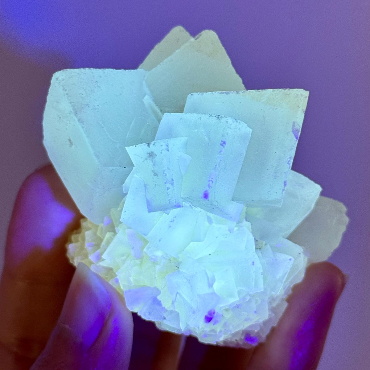 Fluorescent Calcite | UV-reactive crystal, natural mineral specimen from Indonesia