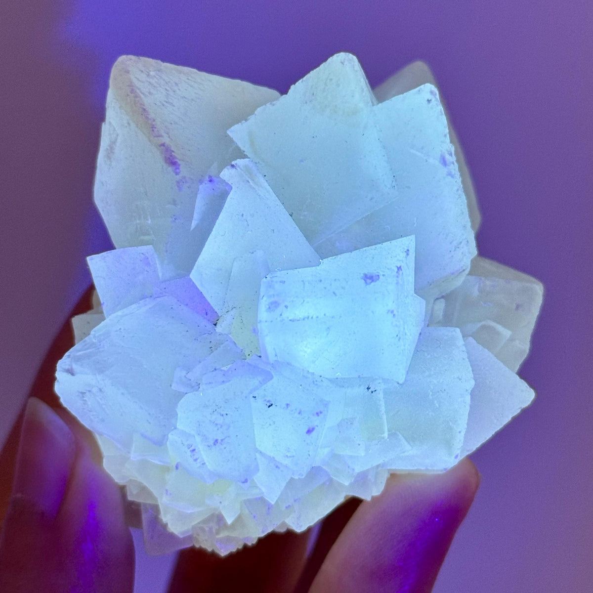 Fluorescent Calcite | UV-reactive crystal, natural mineral specimen from Indonesia