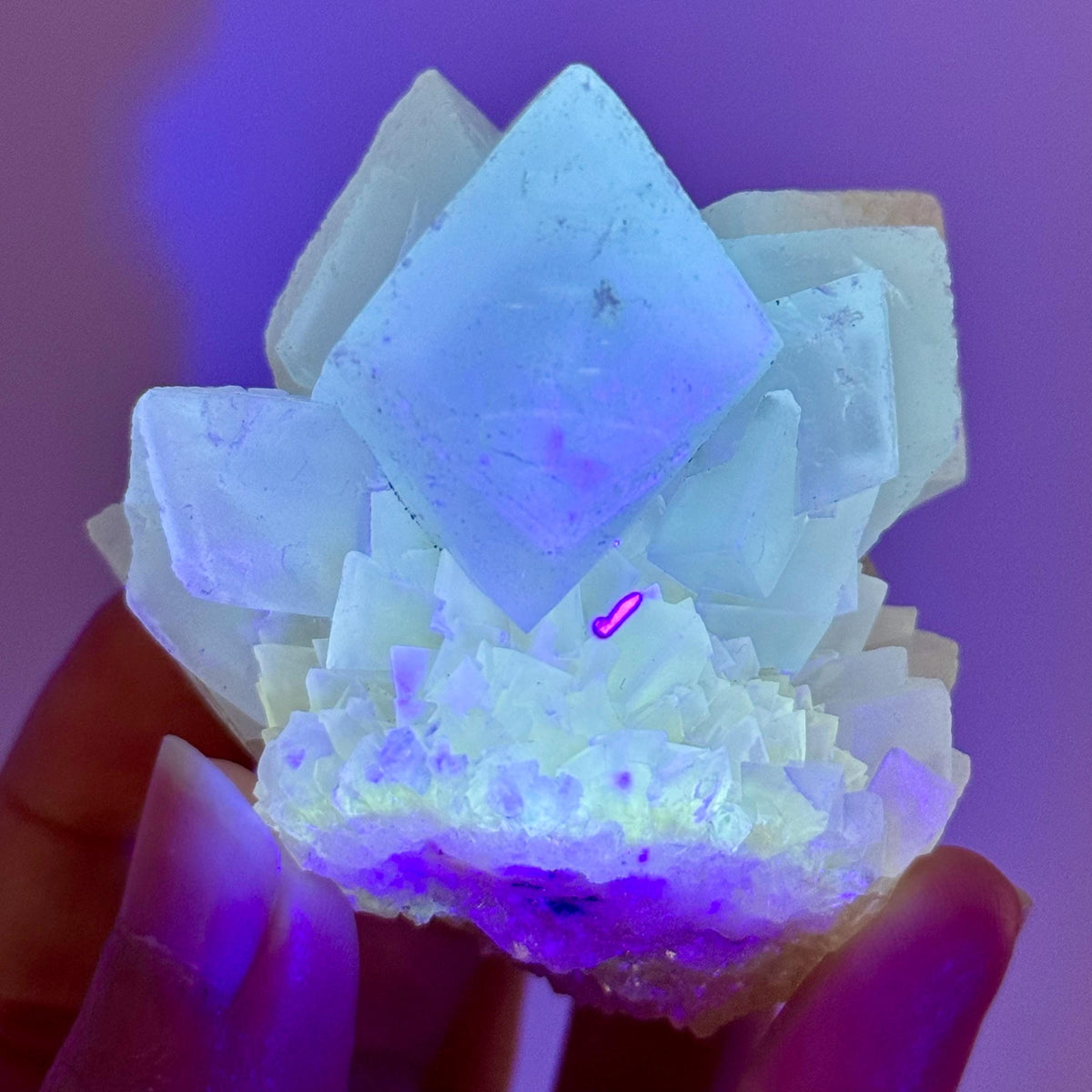 Fluorescent Calcite | UV-reactive crystal, natural mineral specimen from Indonesia