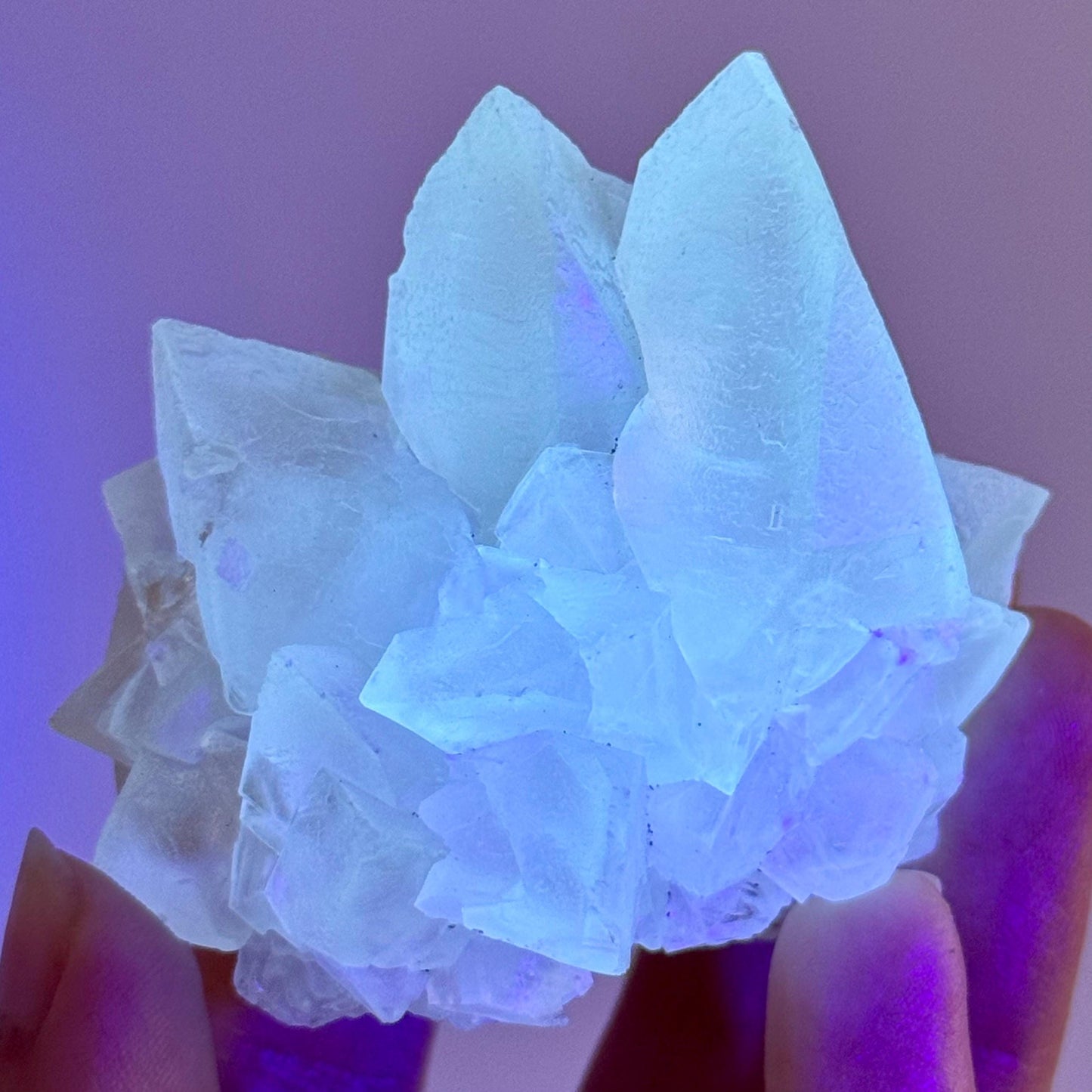 Fluorescent Calcite | UV-reactive crystal, natural mineral specimen from Indonesia