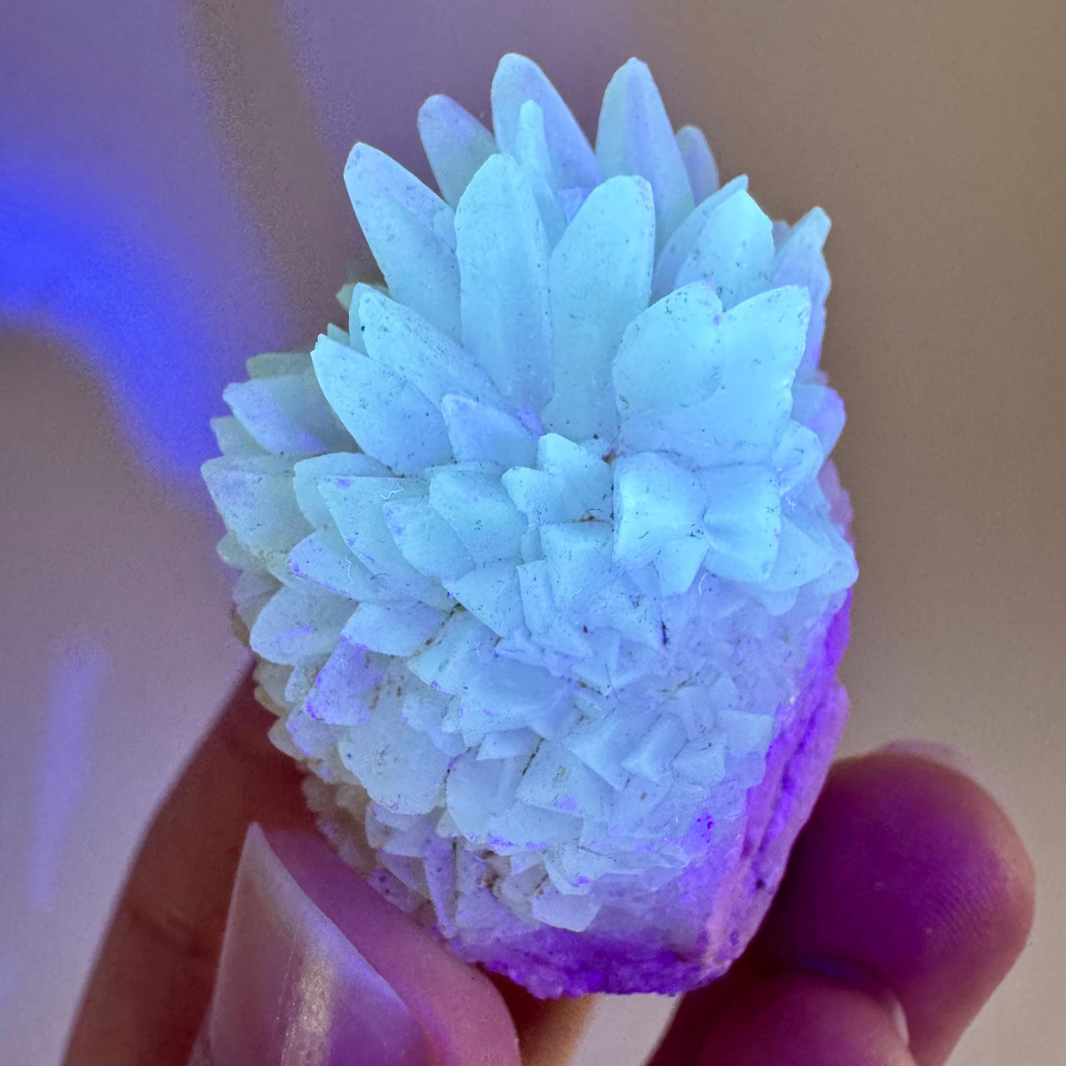 Fluorescent Calcite | UV-reactive crystal, natural mineral specimen from Indonesia