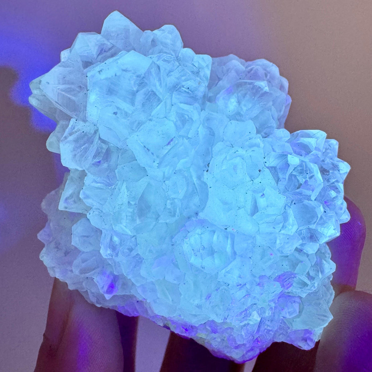 Fluorescent Calcite | UV-reactive crystal, natural mineral specimen from Indonesia