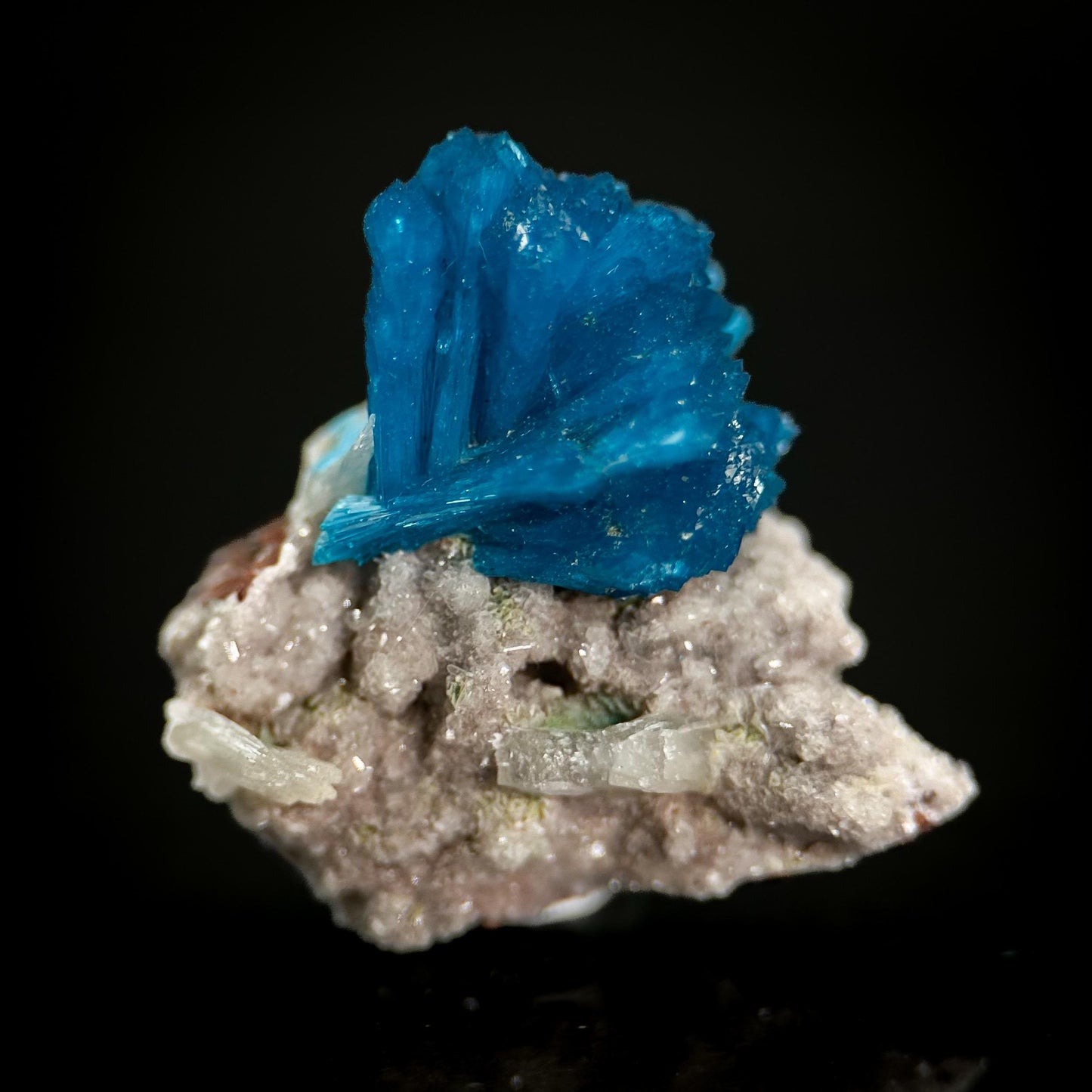 Deep Blue Cavansite on Matrix | crystal cluster, mineral specimen