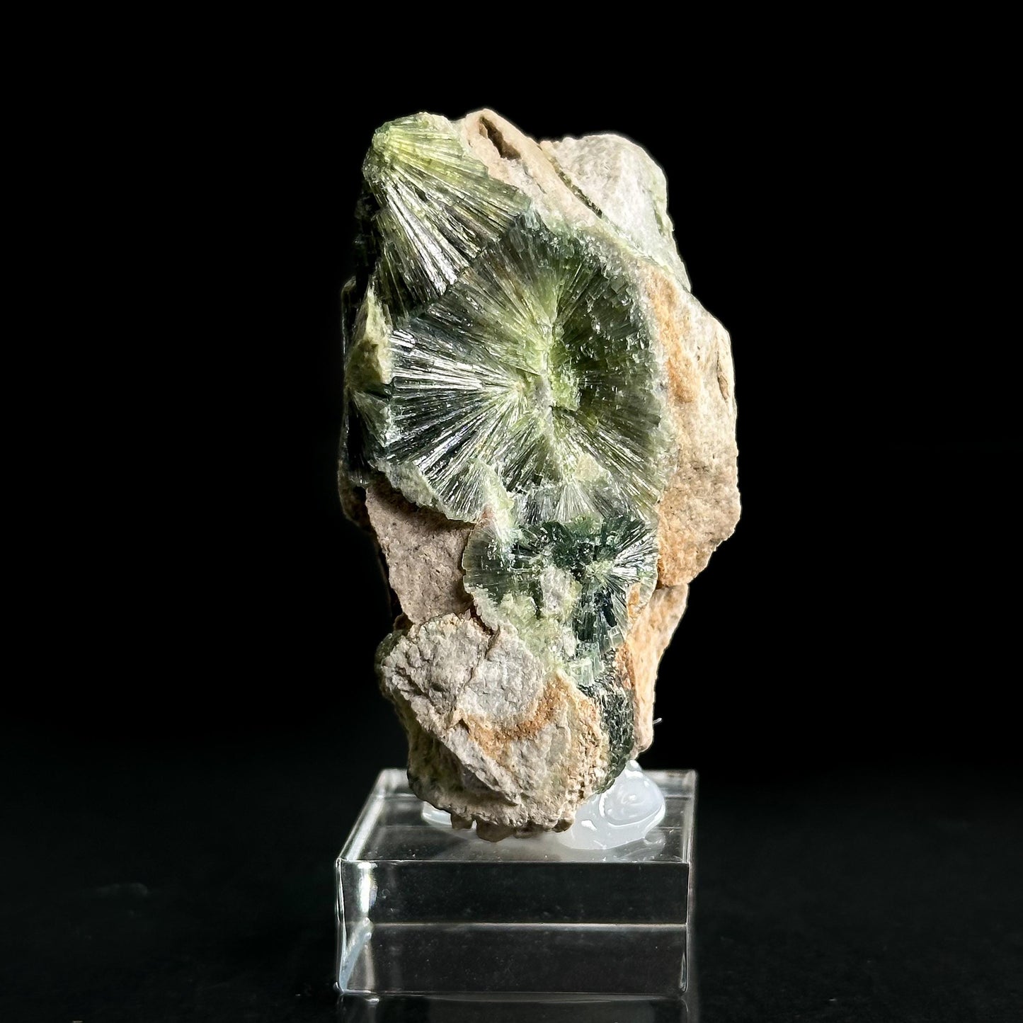 Wavellite (Arkansas, USA) | green radial crystal cluster, mineral specimen