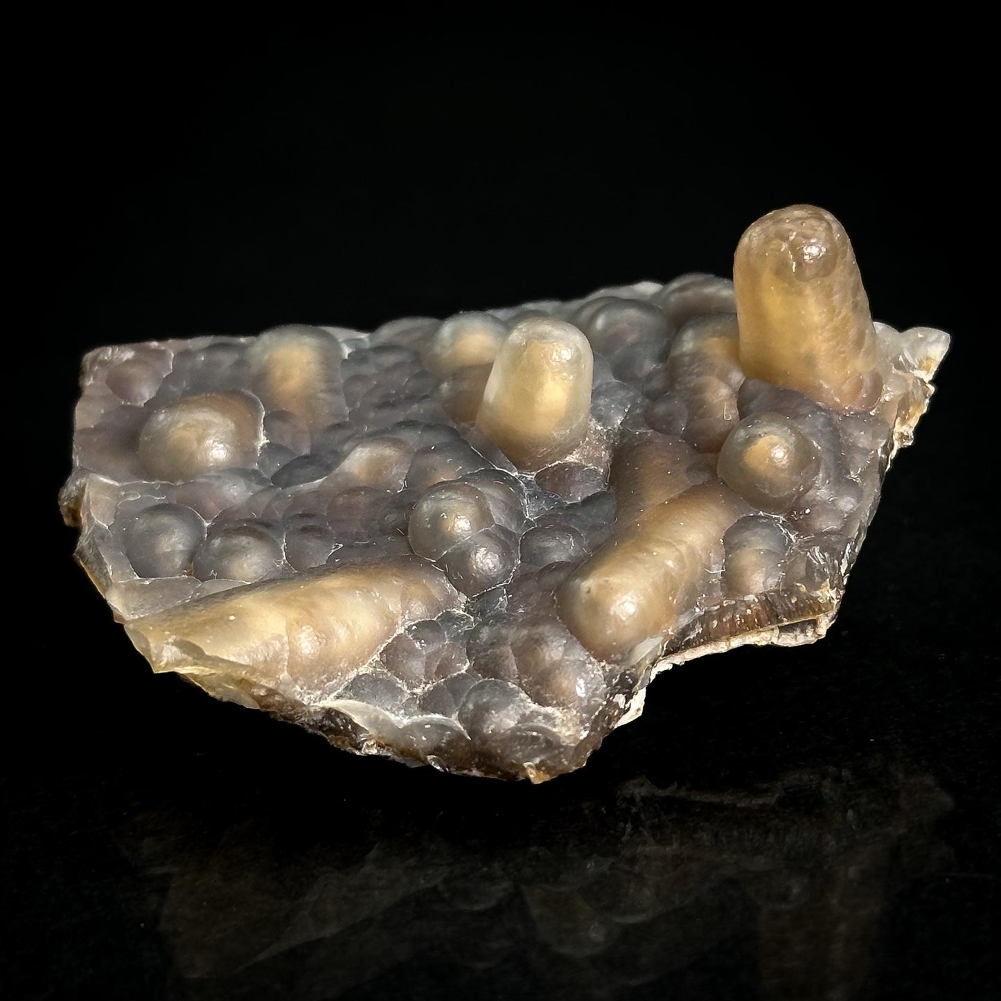 Chalcedony Stalactite | Botryoidal crystal, mineral specimen from Mexico