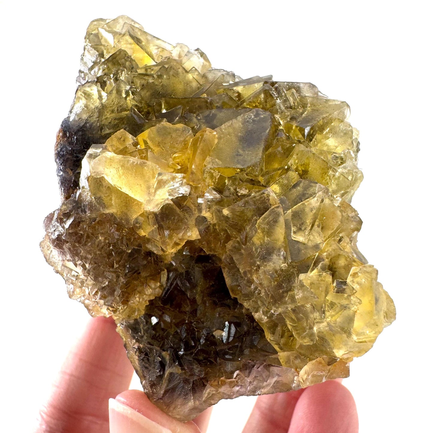 Okorusu Fluorite | “Honey Pocket” yellow crystal cluster, mineral specimen from Namibia