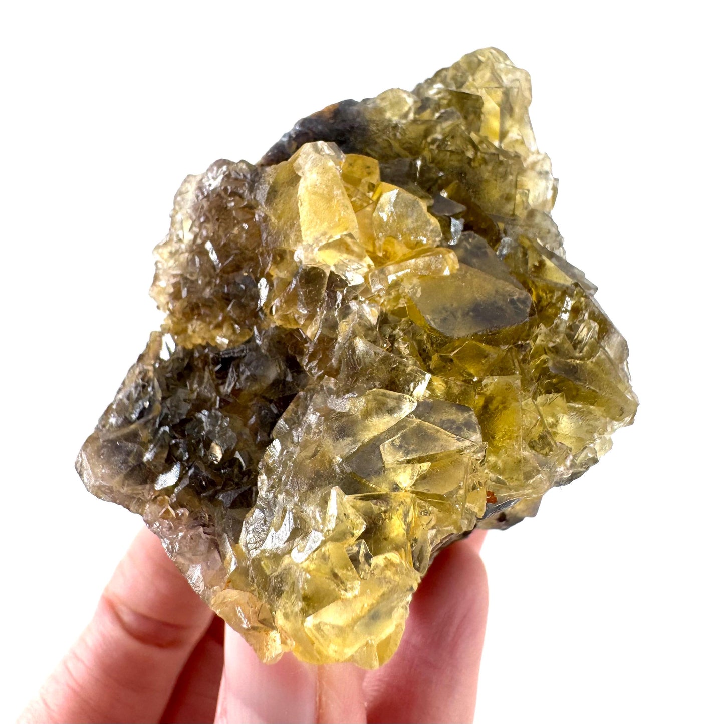 Okorusu Fluorite | “Honey Pocket” yellow crystal cluster, mineral specimen from Namibia