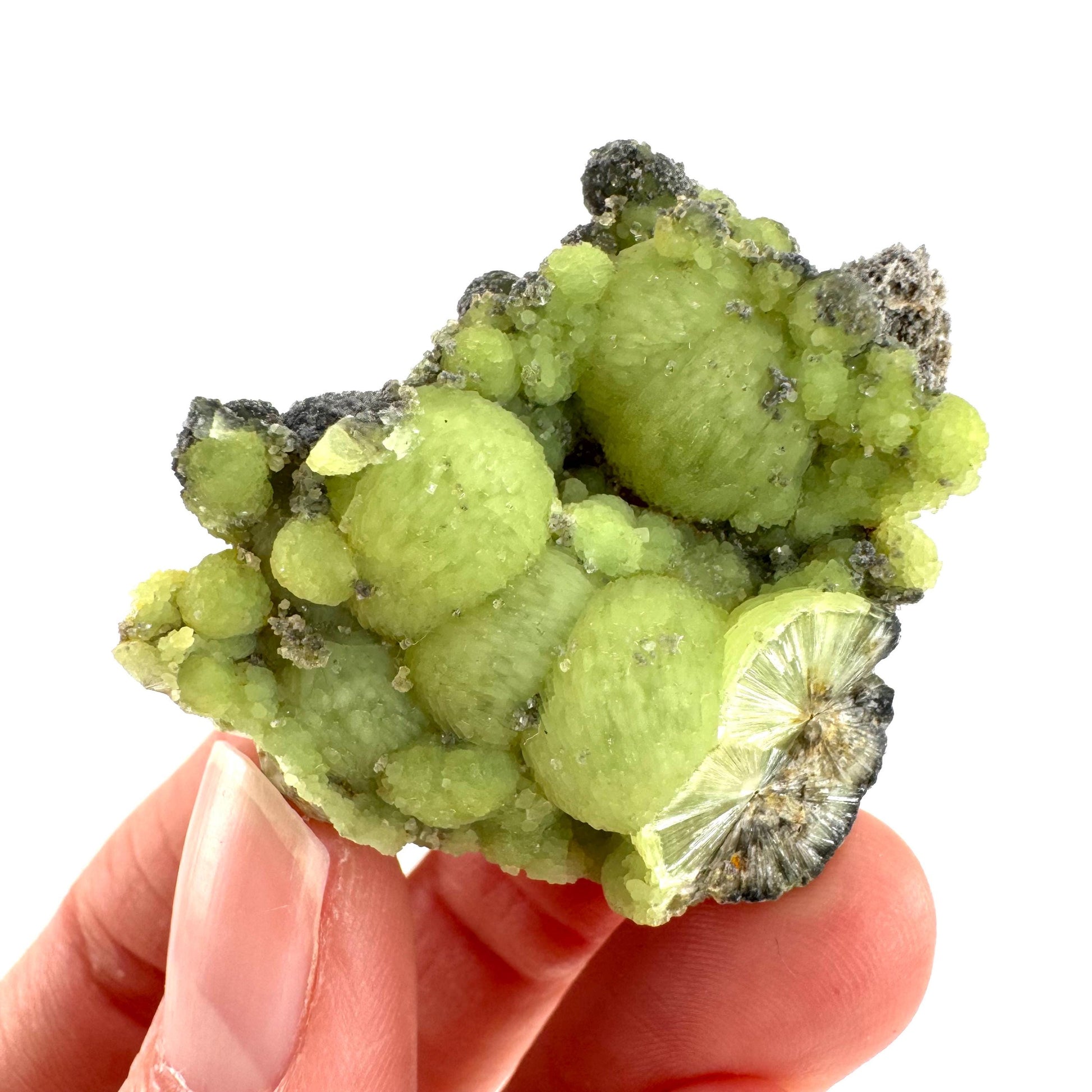 Wavellite (Arkansas, USA) | green crystal cluster, mineral specimen