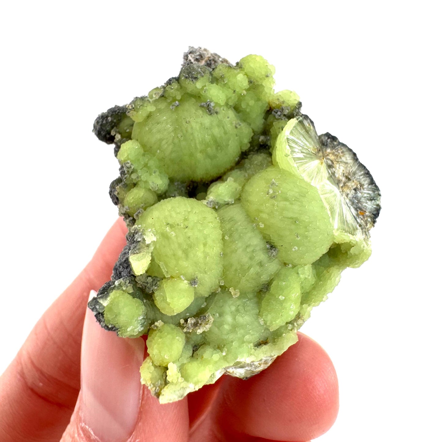Wavellite (Arkansas, USA) | green crystal cluster, mineral specimen