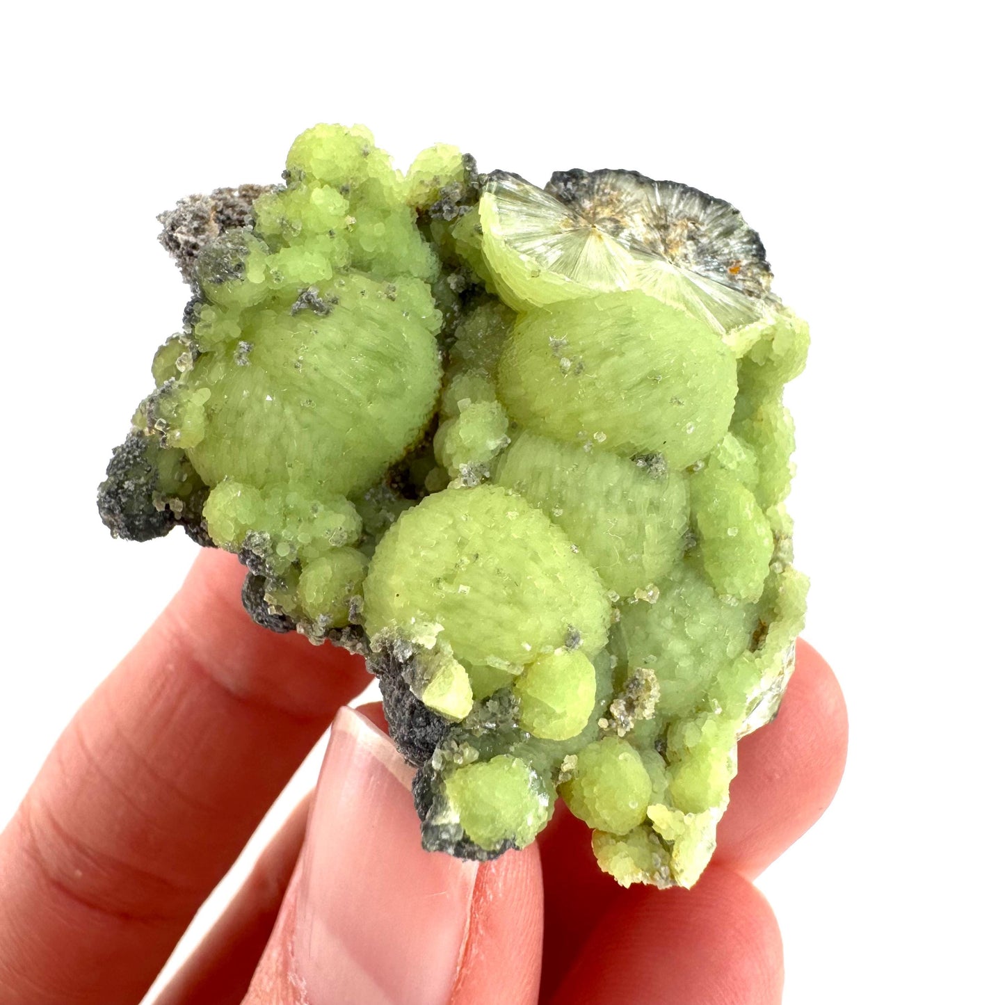 Wavellite (Arkansas, USA) | green crystal cluster, mineral specimen