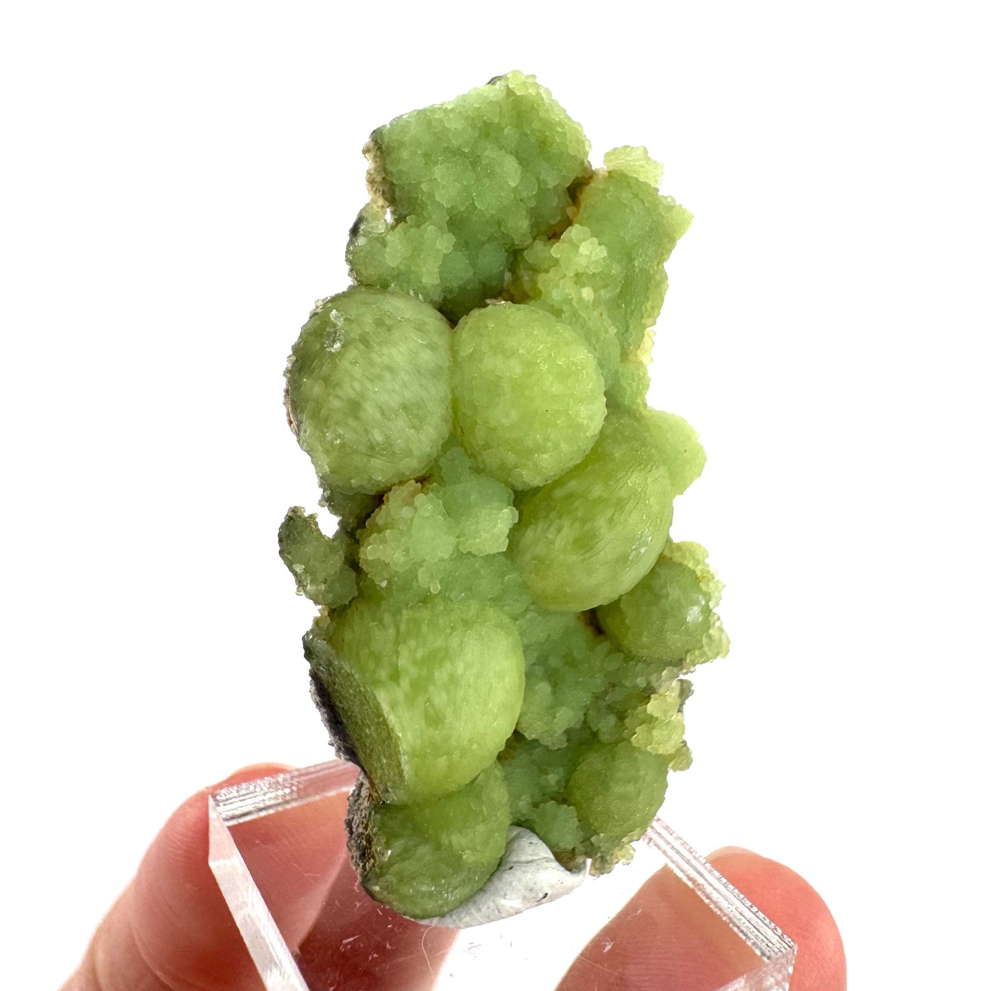 Wavellite (Arkansas, USA) | green crystal cluster, mineral specimen