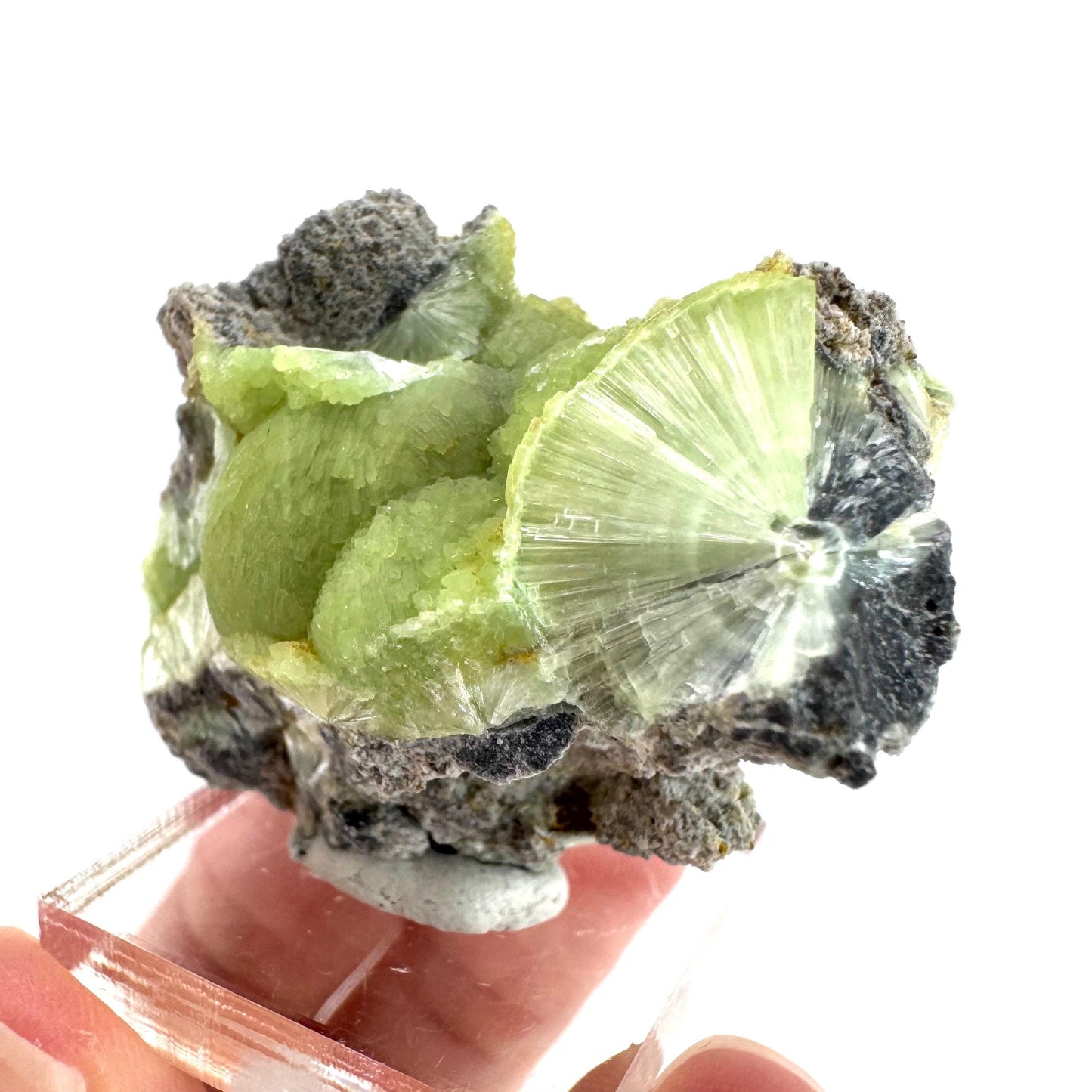 Wavellite (Arkansas, USA) | green crystal cluster, mineral specimen