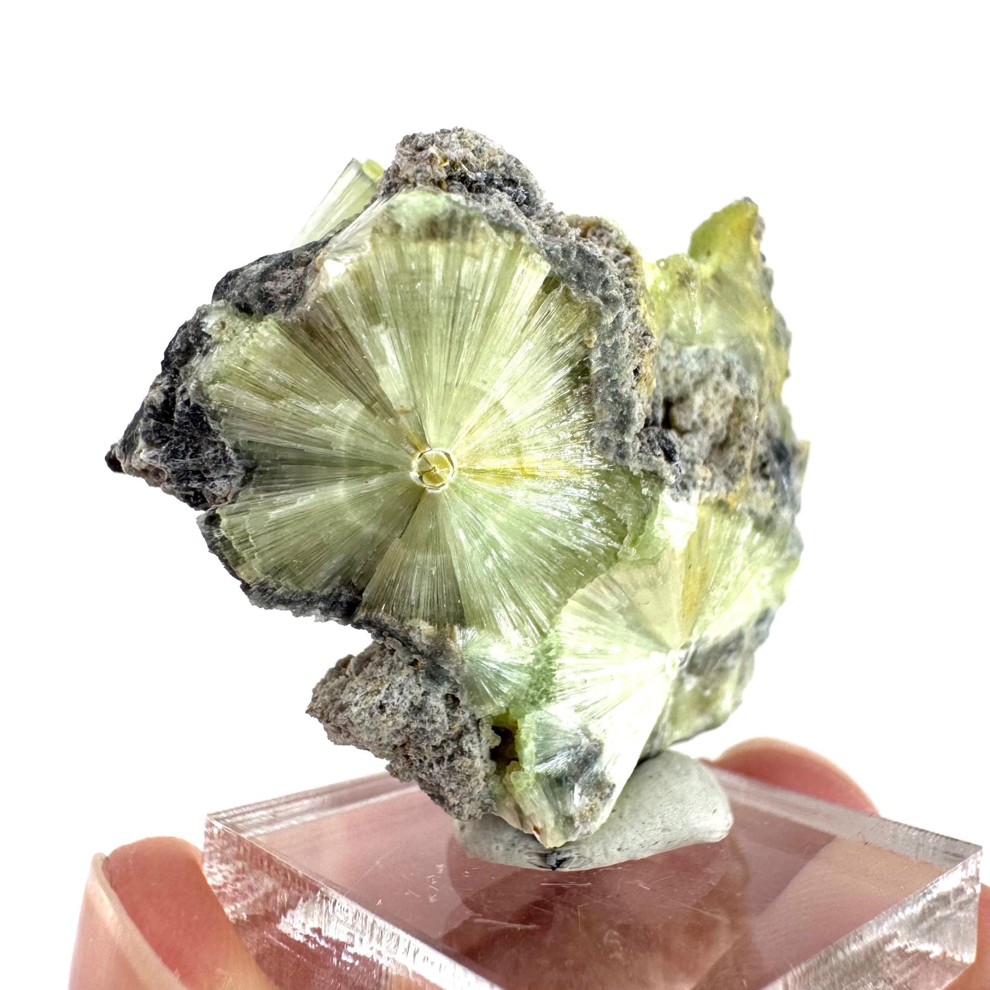 Wavellite (Arkansas, USA) | green crystal cluster, mineral specimen