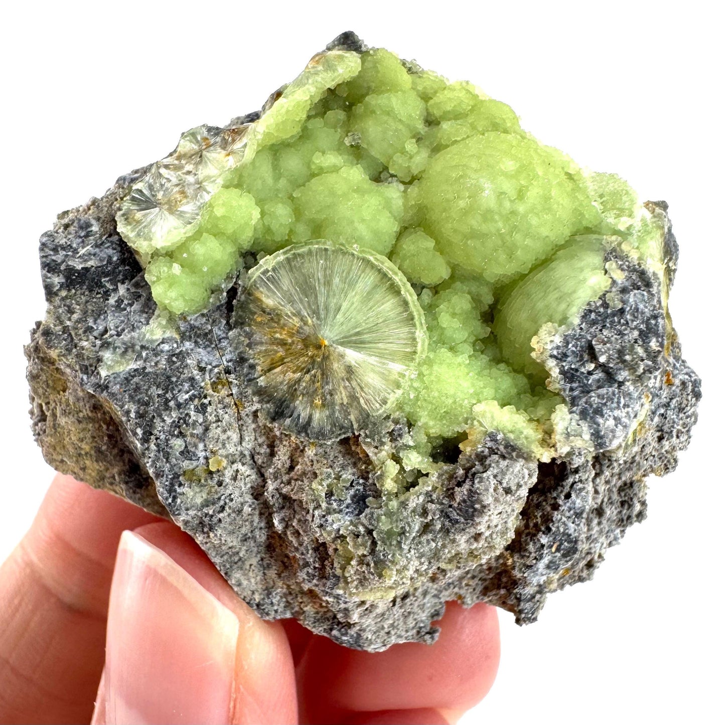 Wavellite (Arkansas, USA) | green crystal cluster, mineral specimen