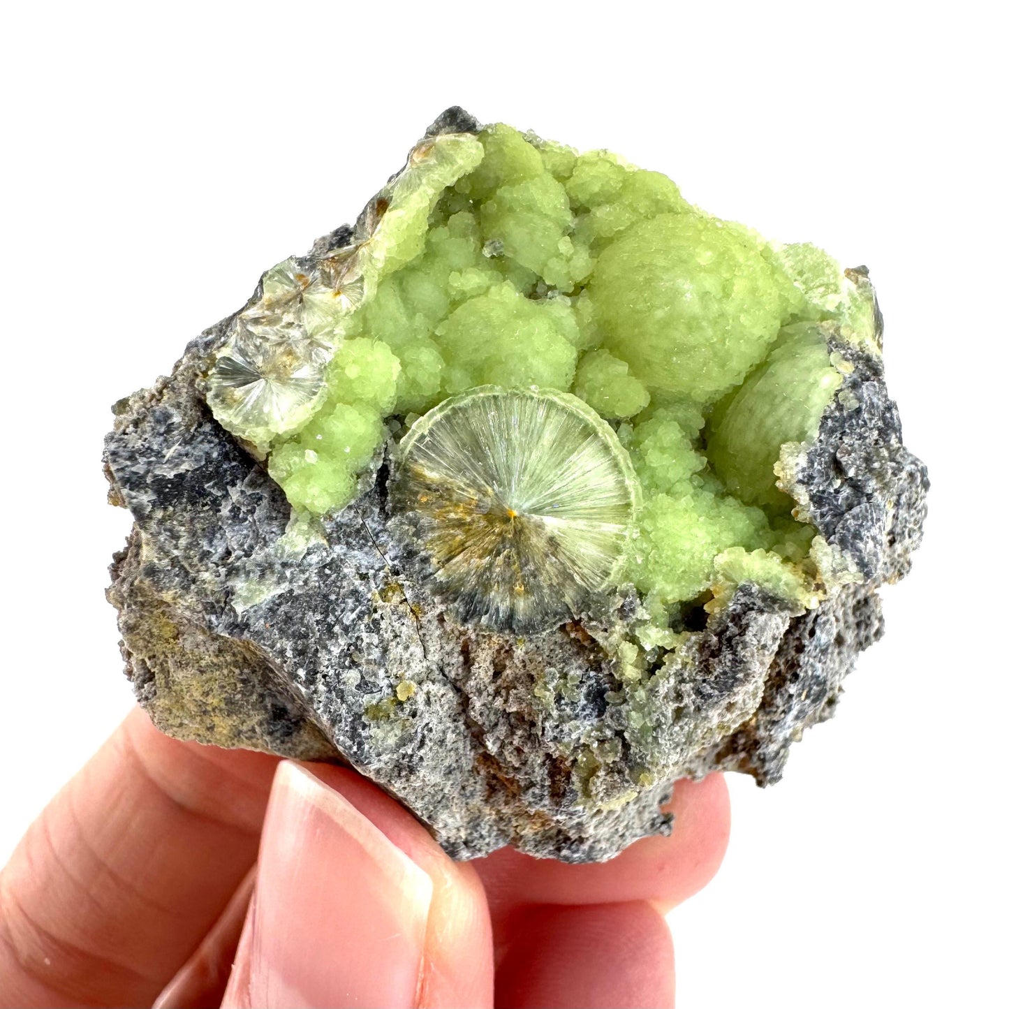 Wavellite (Arkansas, USA) | green crystal cluster, mineral specimen