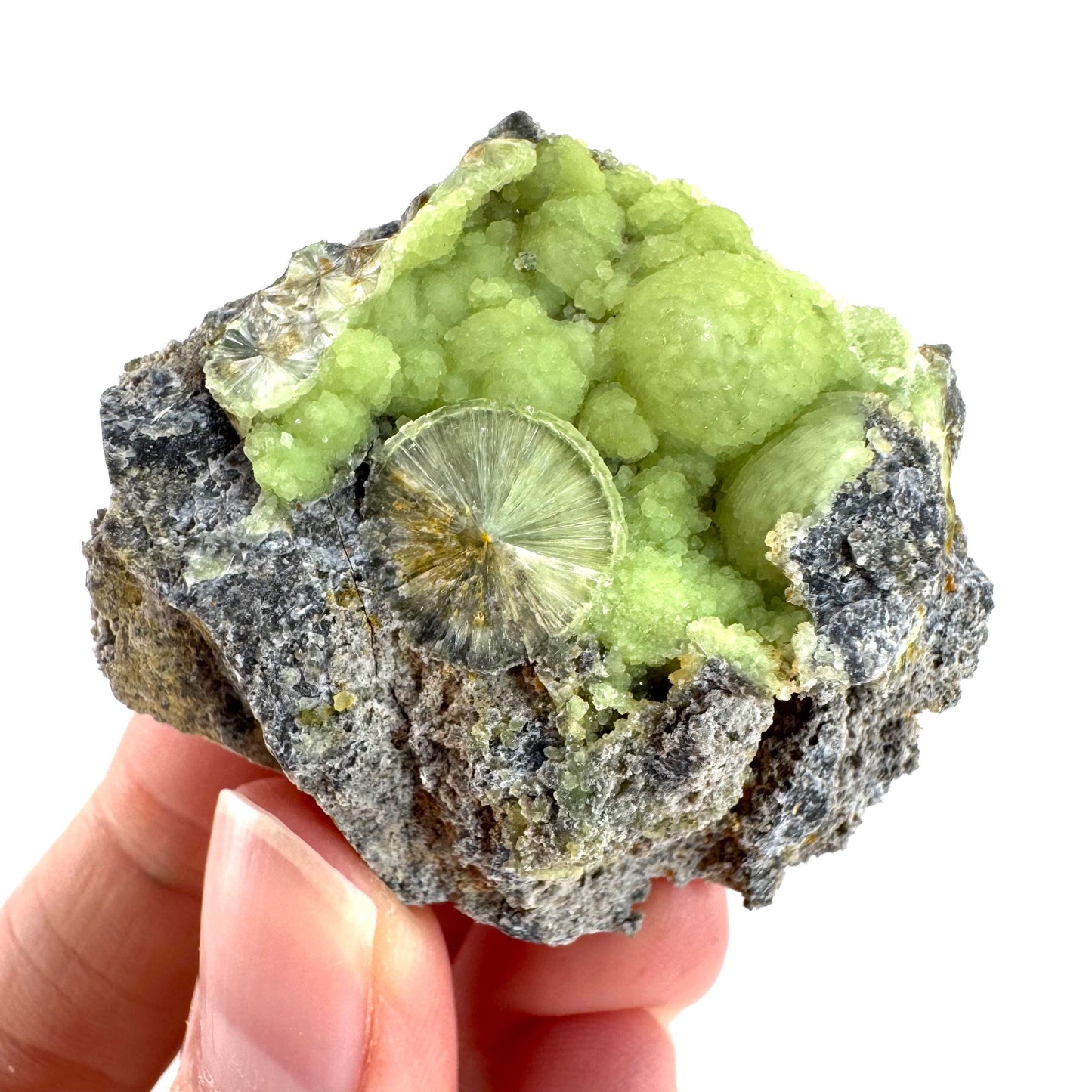 Wavellite (Arkansas, USA) | green crystal cluster, mineral specimen