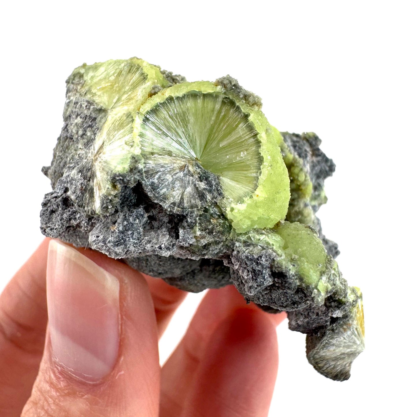 Wavellite (Arkansas, USA) | green crystal cluster, mineral specimen