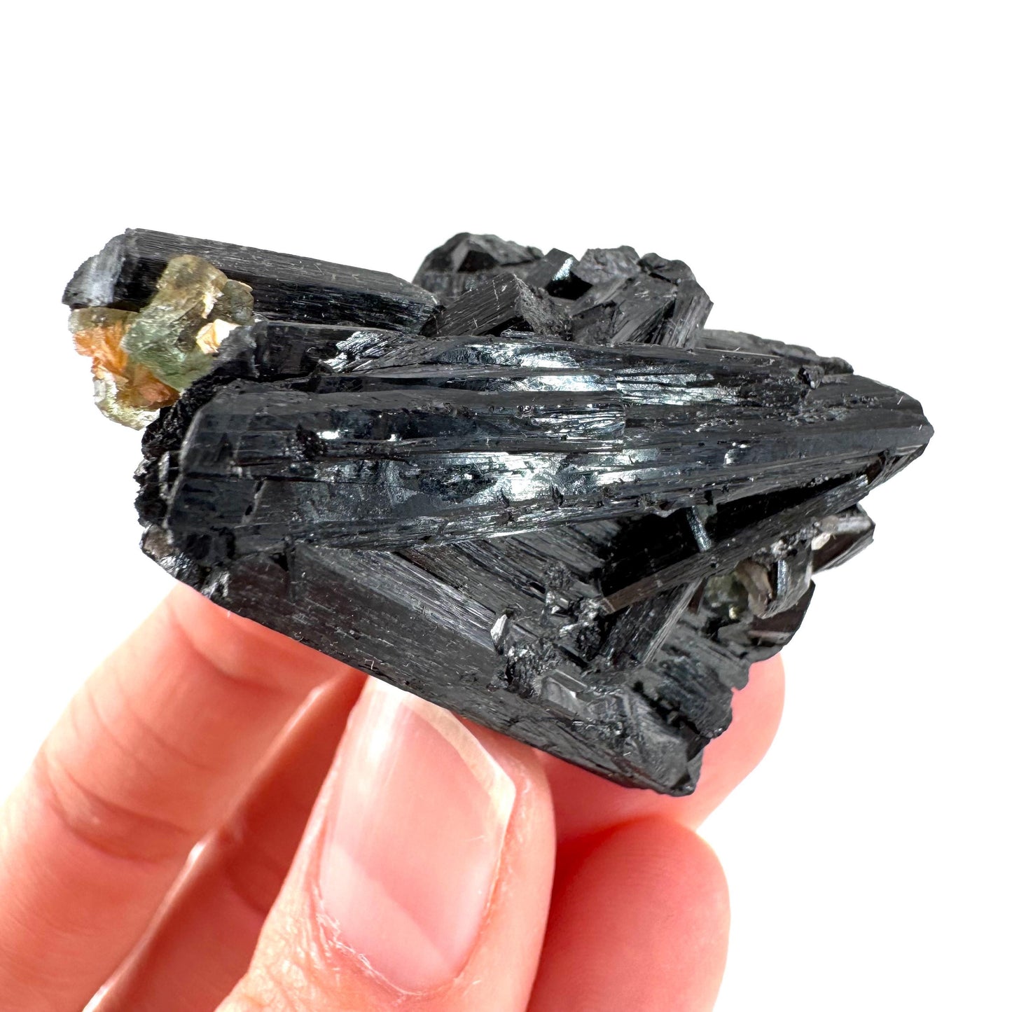 Black Tourmaline with Fluorite | Raw Schorl Crystal Cluster, Mineral Specimen from Namibia