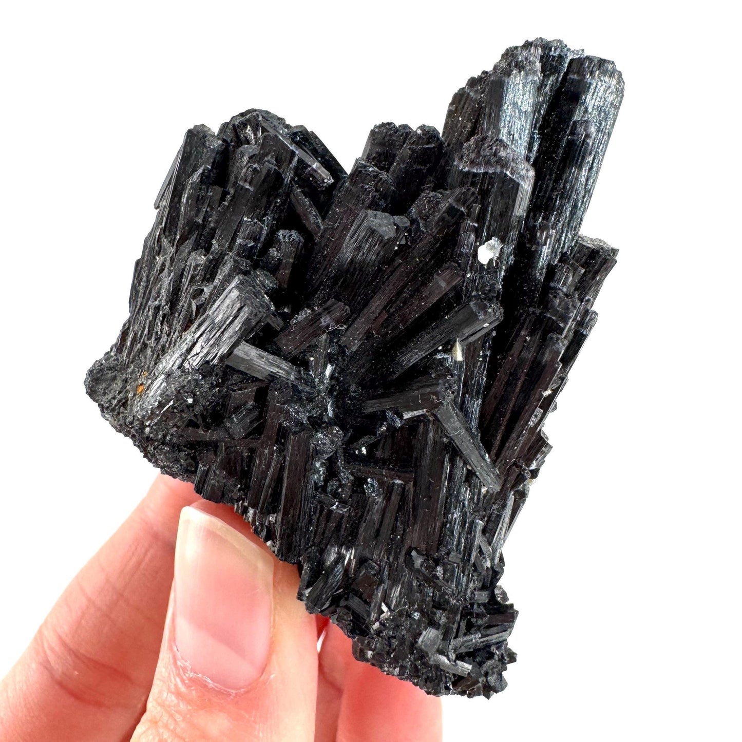 Black Tourmaline | Raw Schorl Crystal Cluster, Mineral Specimen from Namibia