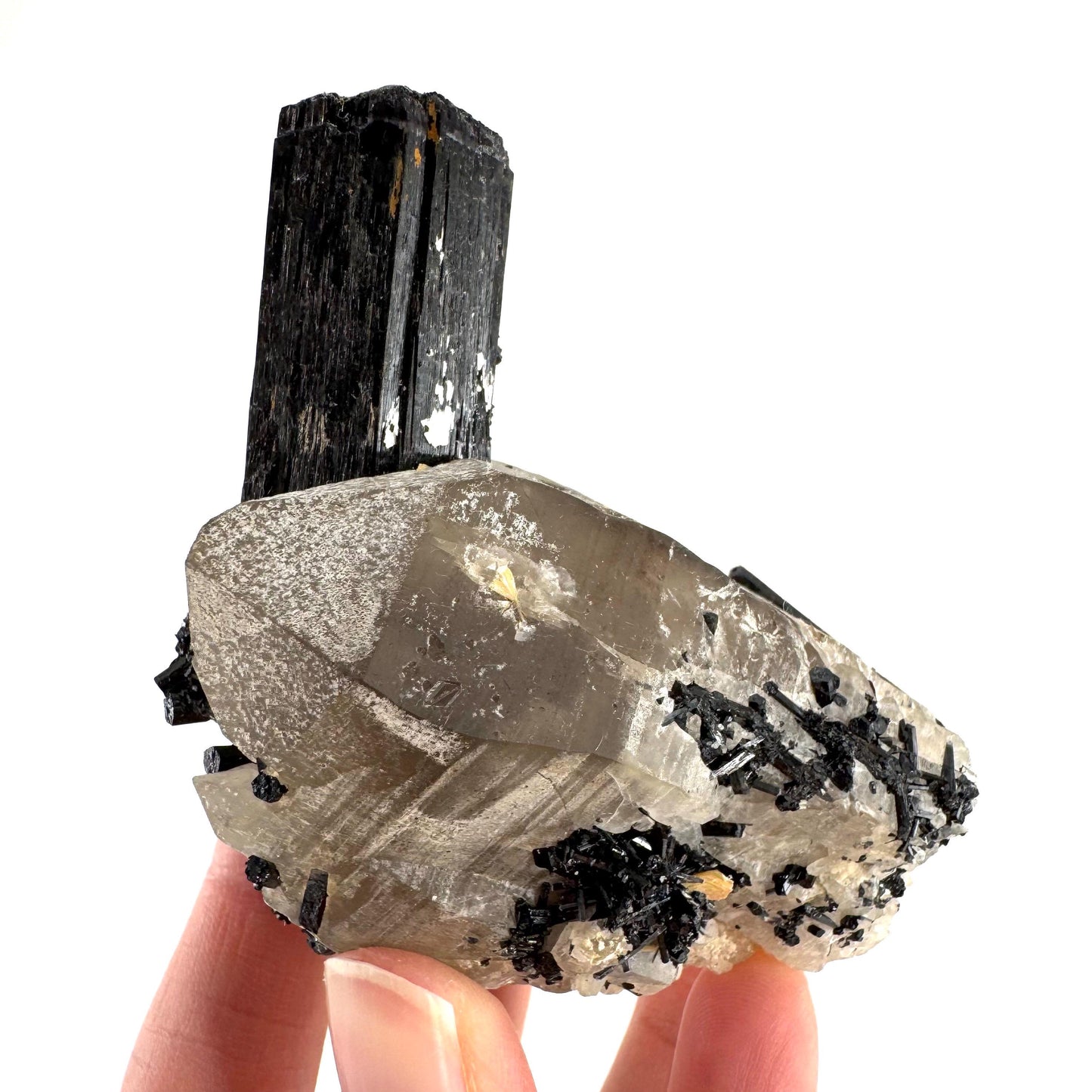 Black Tourmaline on Smoky Quartz | schorl crystal cluster, mineral specimen from Namibia