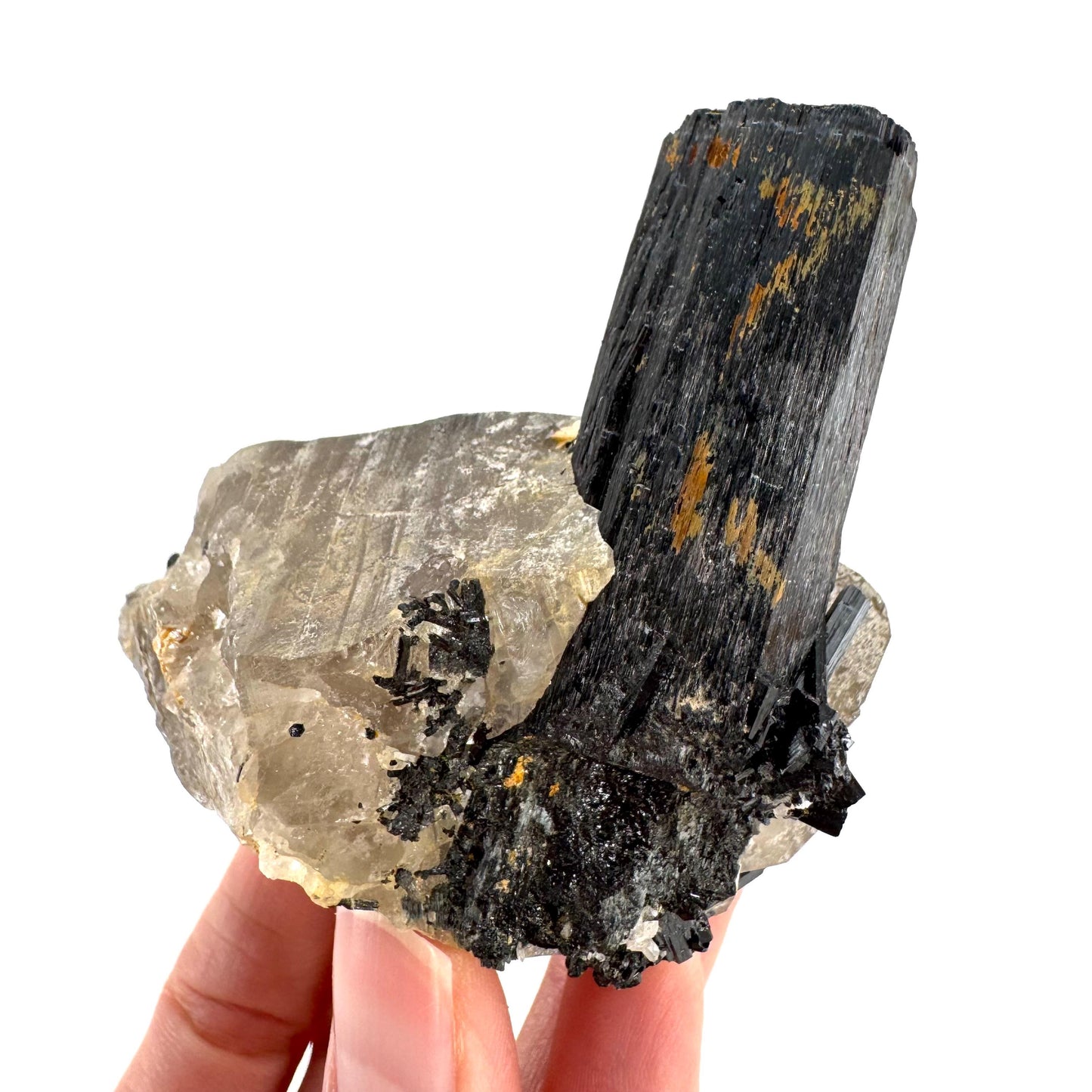 Black Tourmaline on Smoky Quartz | schorl crystal cluster, mineral specimen from Namibia