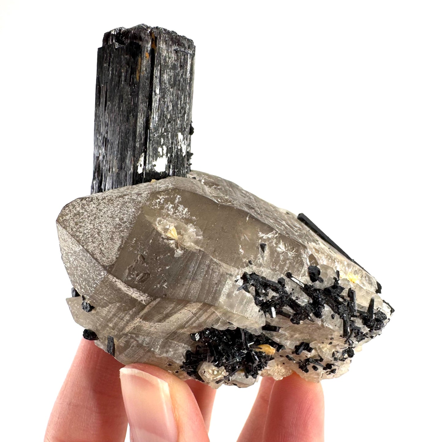 Black Tourmaline on Smoky Quartz | schorl crystal cluster, mineral specimen from Namibia