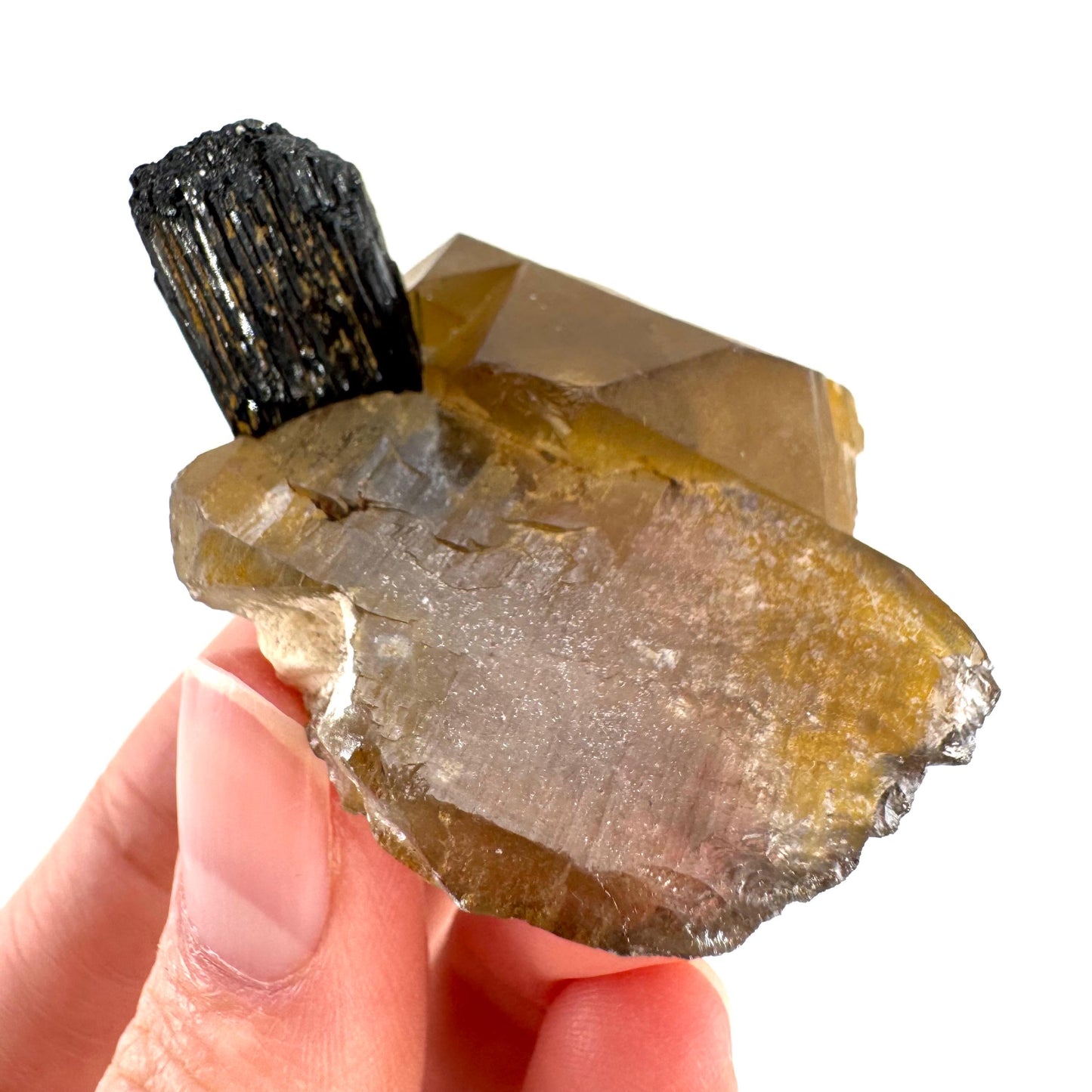 Black Tourmaline on Smoky Quartz | schorl crystal cluster, mineral specimen from Namibia