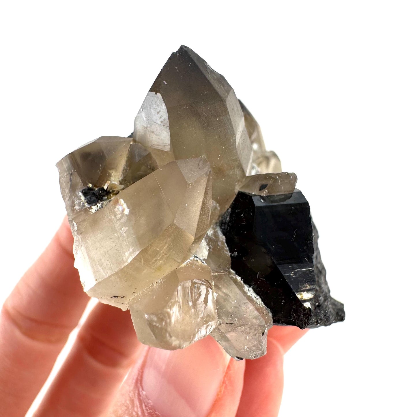 Smoky Quartz on Black Tourmaline | schorl crystal cluster, mineral specimen from Namibia