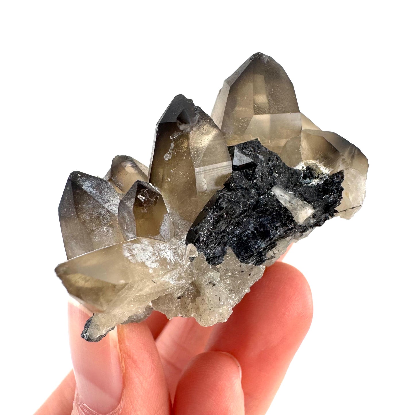 Smoky Quartz on Black Tourmaline | schorl crystal cluster, mineral specimen from Namibia