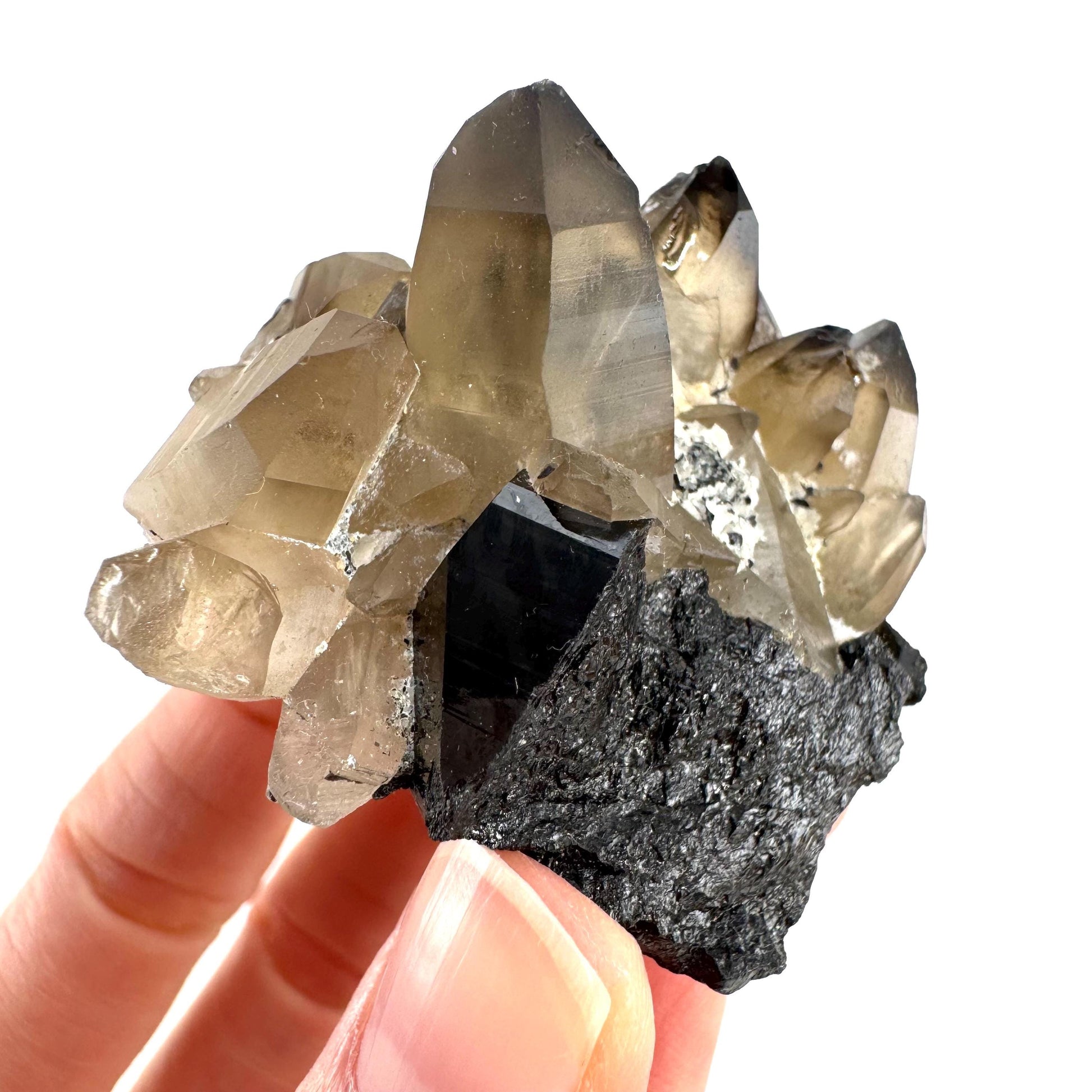 Smoky Quartz on Black Tourmaline | schorl crystal cluster, mineral specimen from Namibia