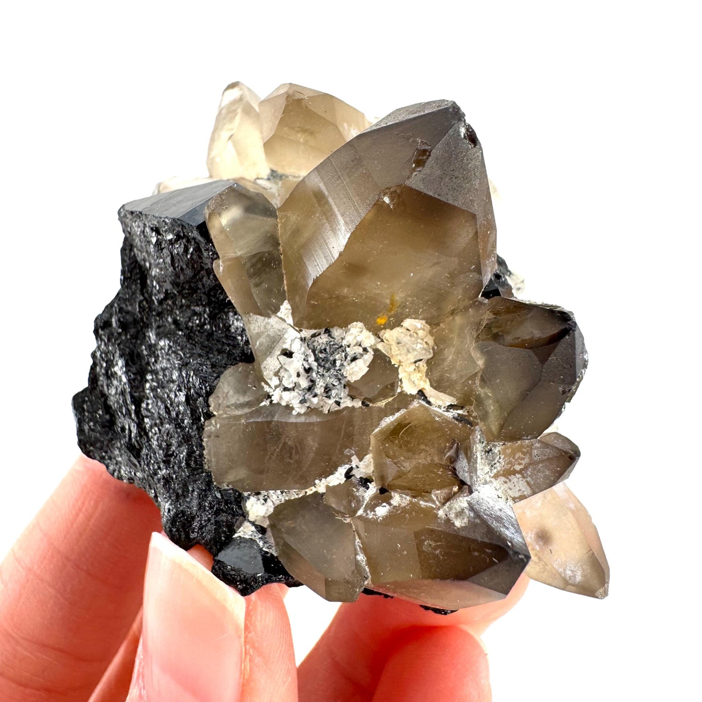 Smoky Quartz on Black Tourmaline | schorl crystal cluster, mineral specimen from Namibia