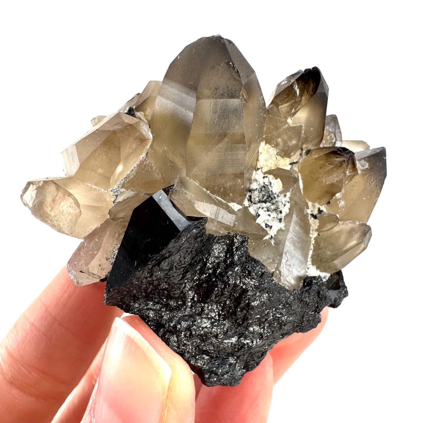 Smoky Quartz on Black Tourmaline | schorl crystal cluster, mineral specimen from Namibia