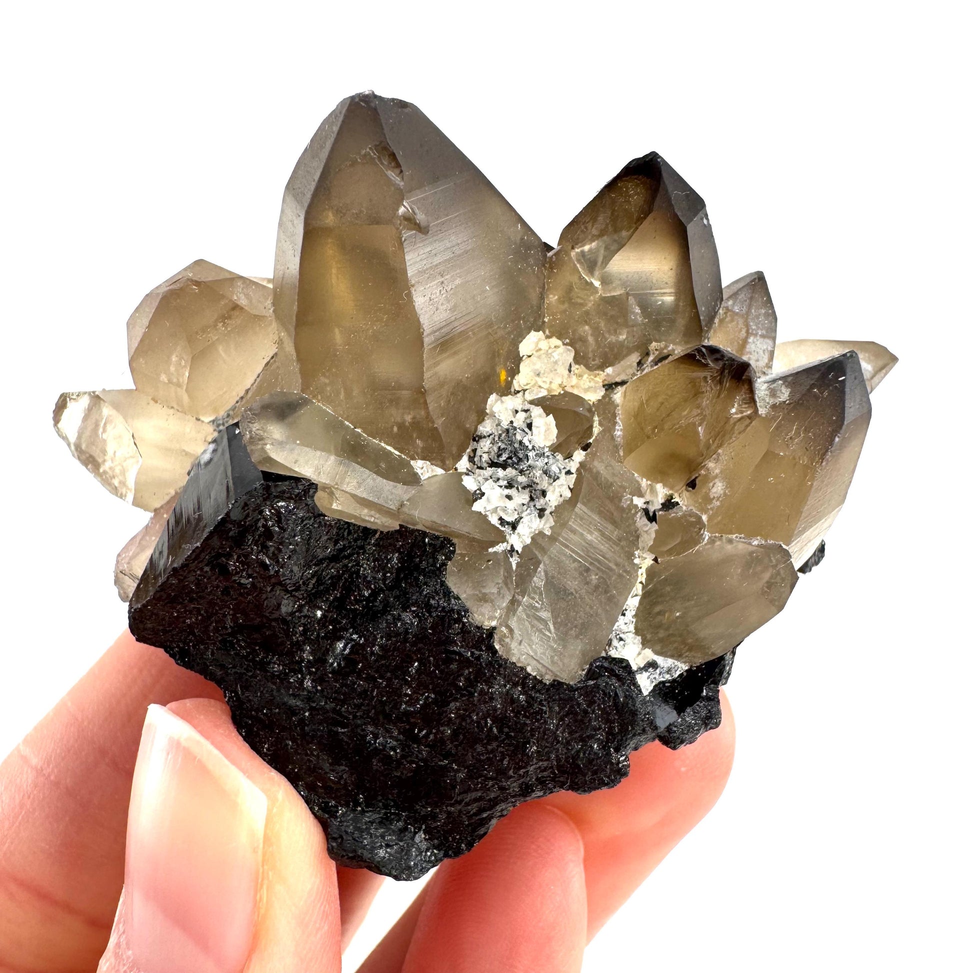 Smoky Quartz on Black Tourmaline | schorl crystal cluster, mineral specimen from Namibia